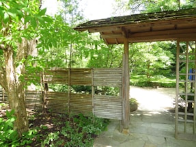 A welcoming garden entrance framed by natural wooden fences under soft sunlight