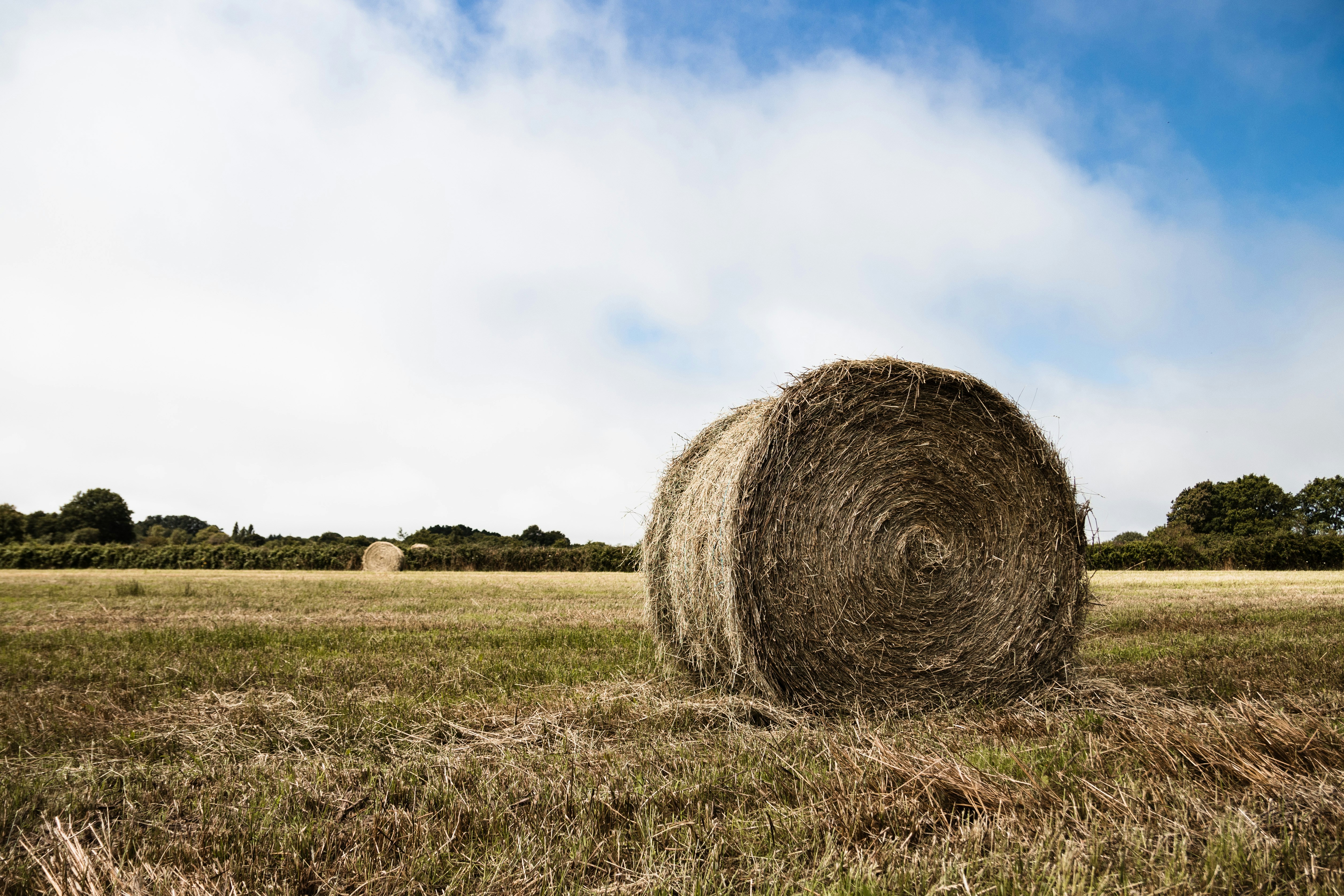 brown grass field under white clouds during daytime