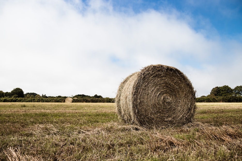 brown grass field under white clouds during daytime