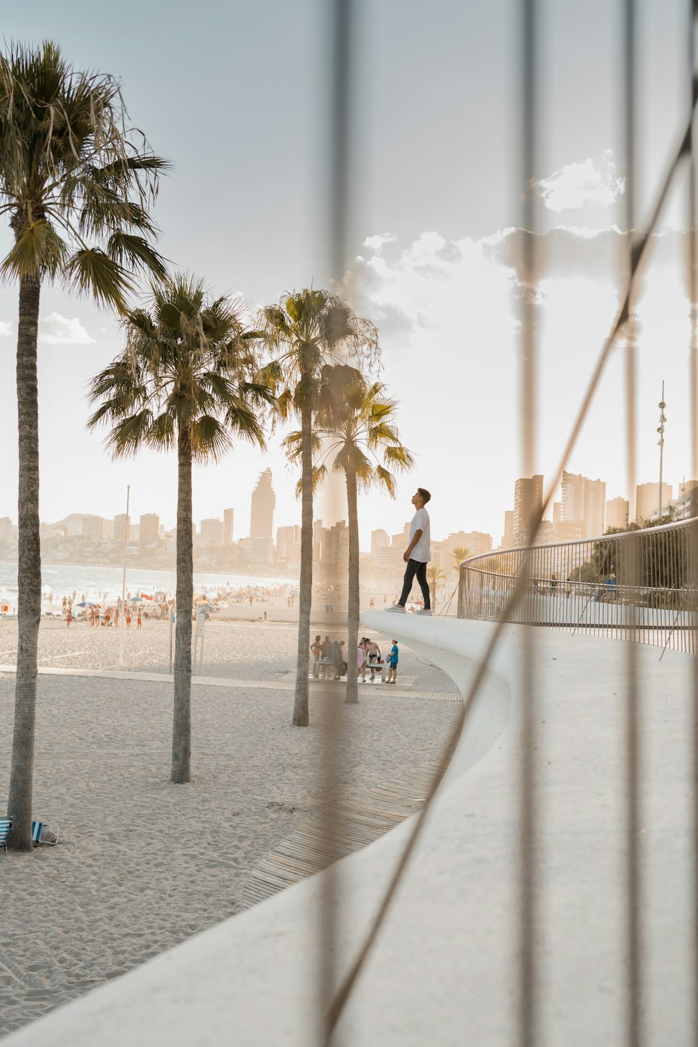 people walking on sidewalk near palm trees during daytime