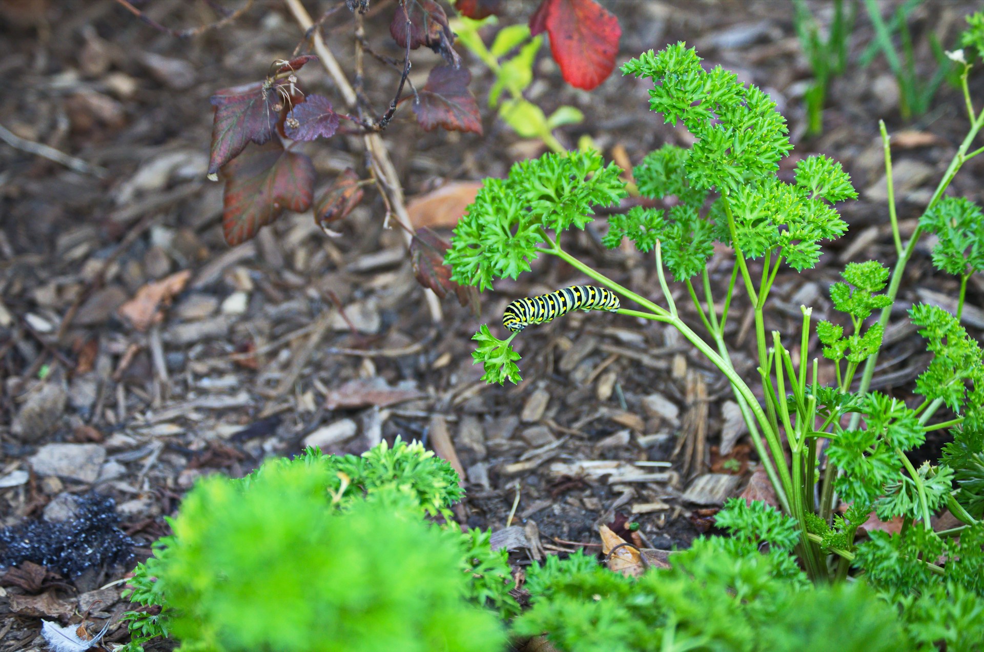 black and white bed linen