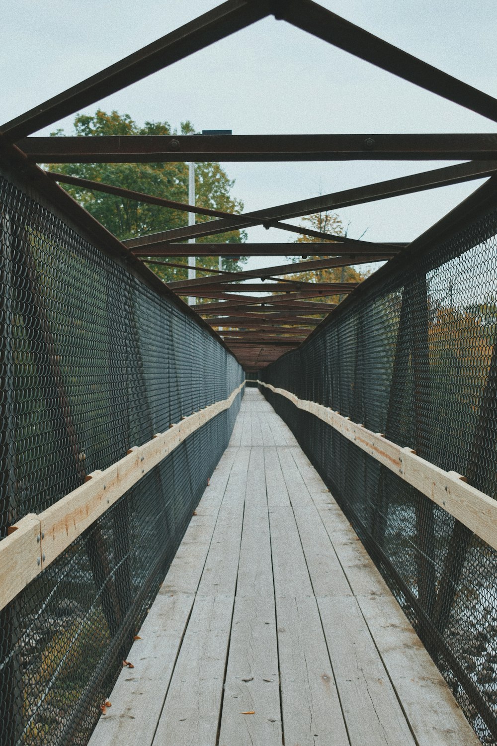 brown wooden bridge with green metal fence