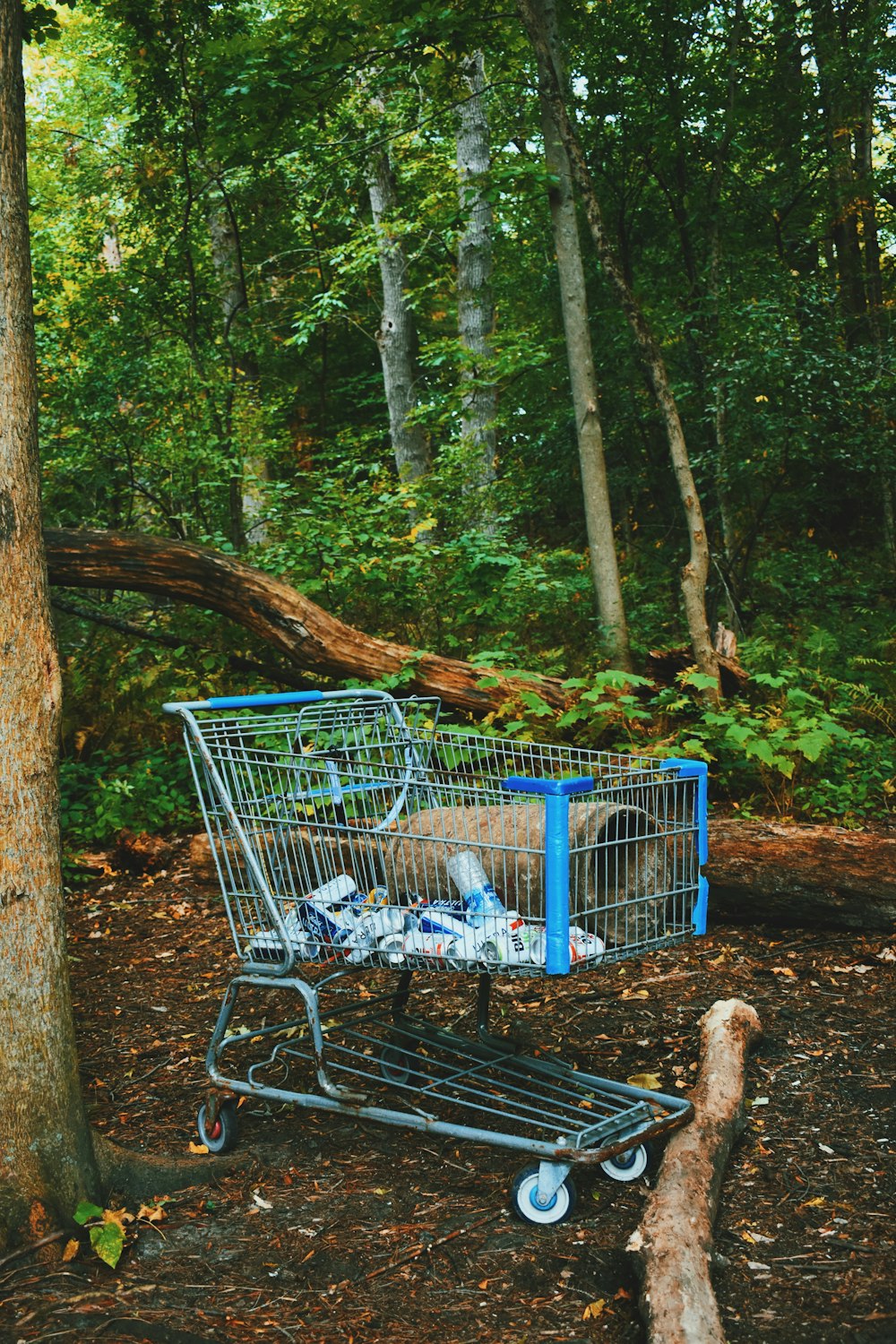 blue shopping cart on forest during daytime