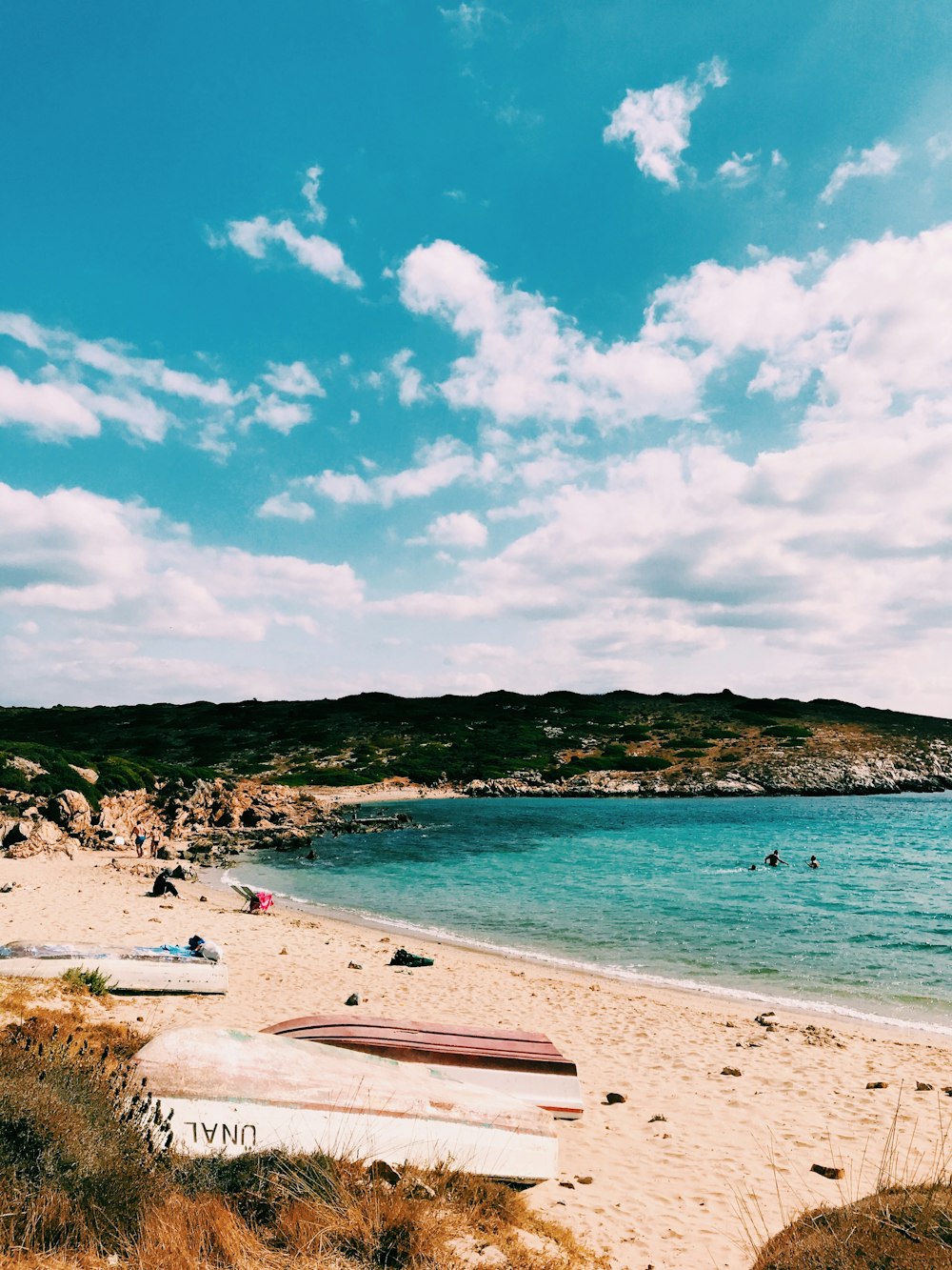 people on beach during daytime