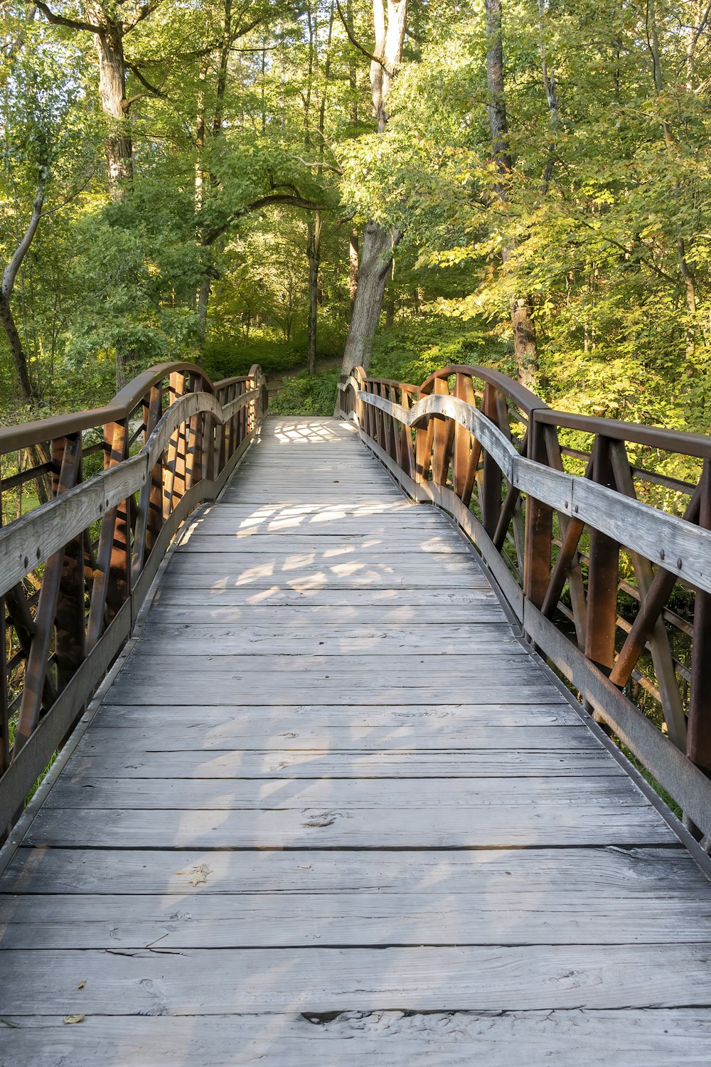 brown wooden bridge in forest during daytime