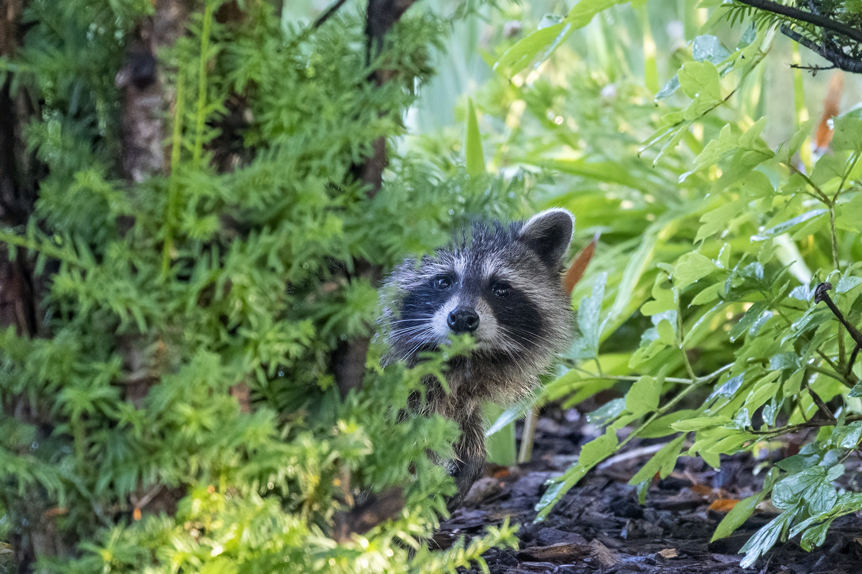 Photo by cholewinski