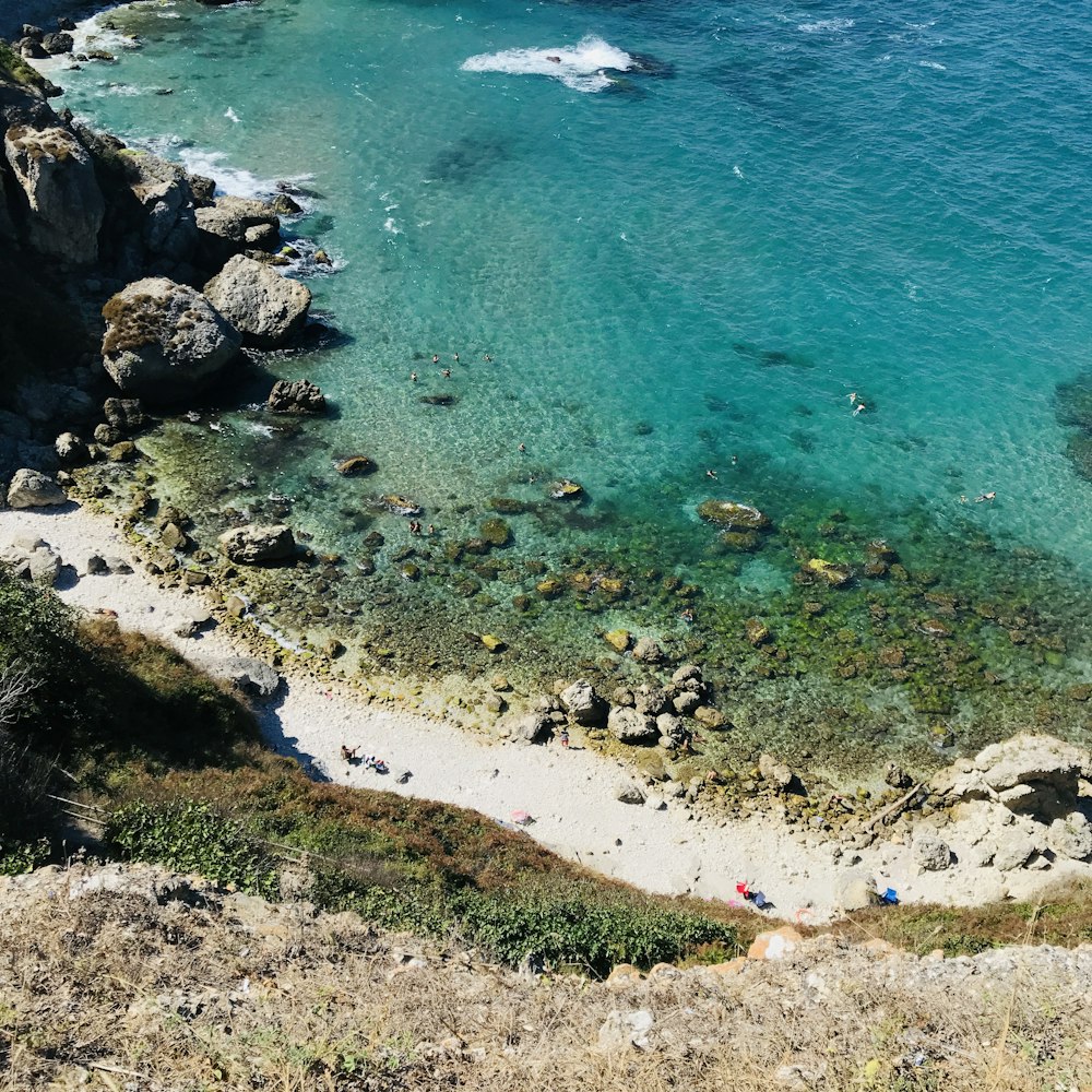 people on beach during daytime