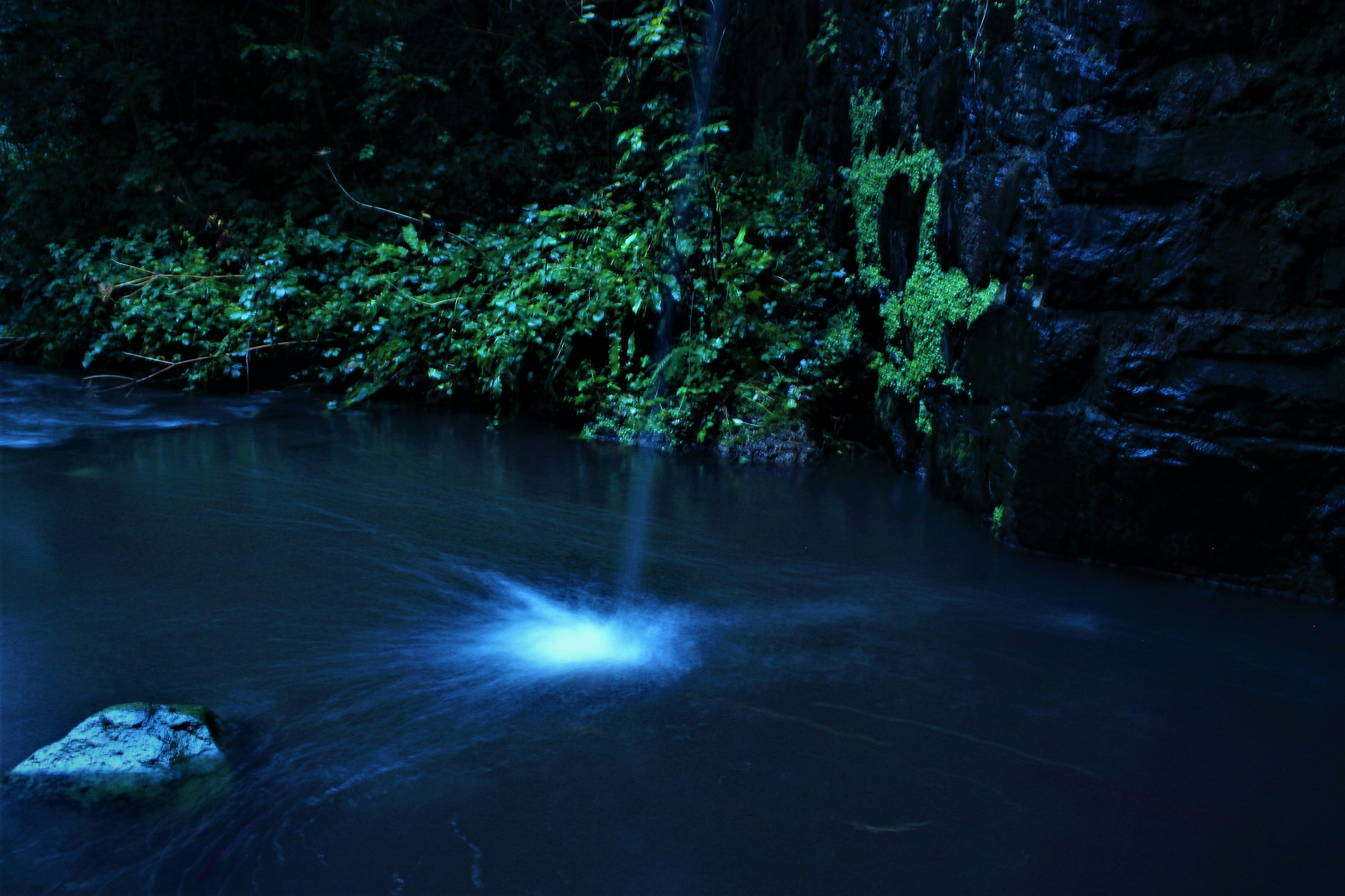 Future Research Directions and Discoveries (image credits: unsplash)