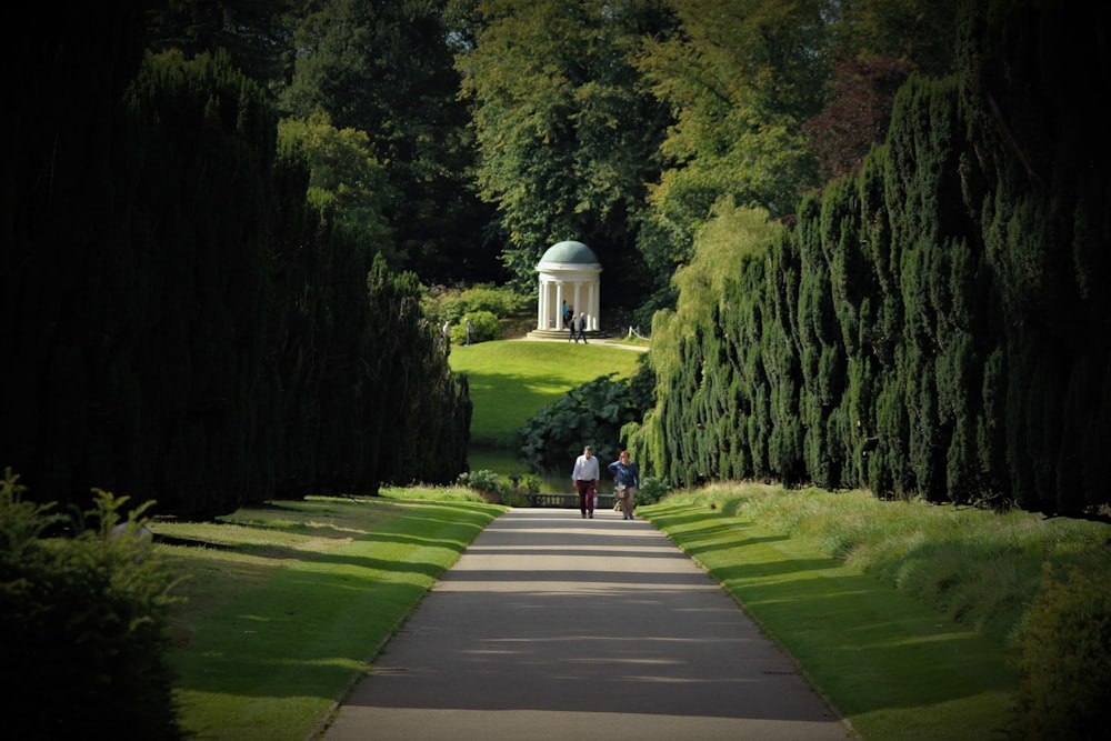 person in red shirt and black pants walking on gray concrete pathway between green grass and