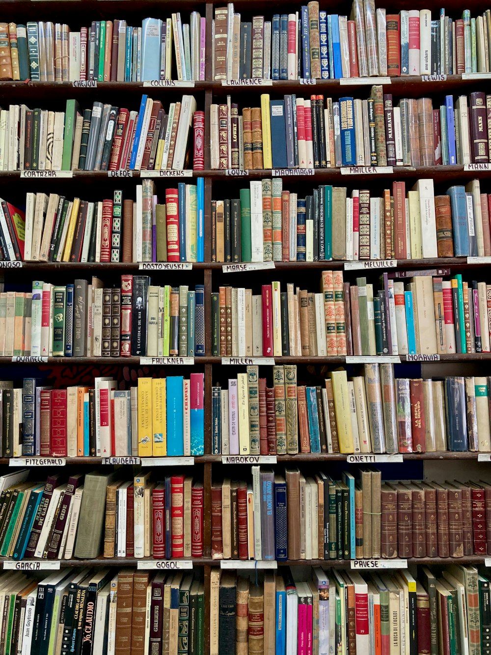 books on brown wooden shelf