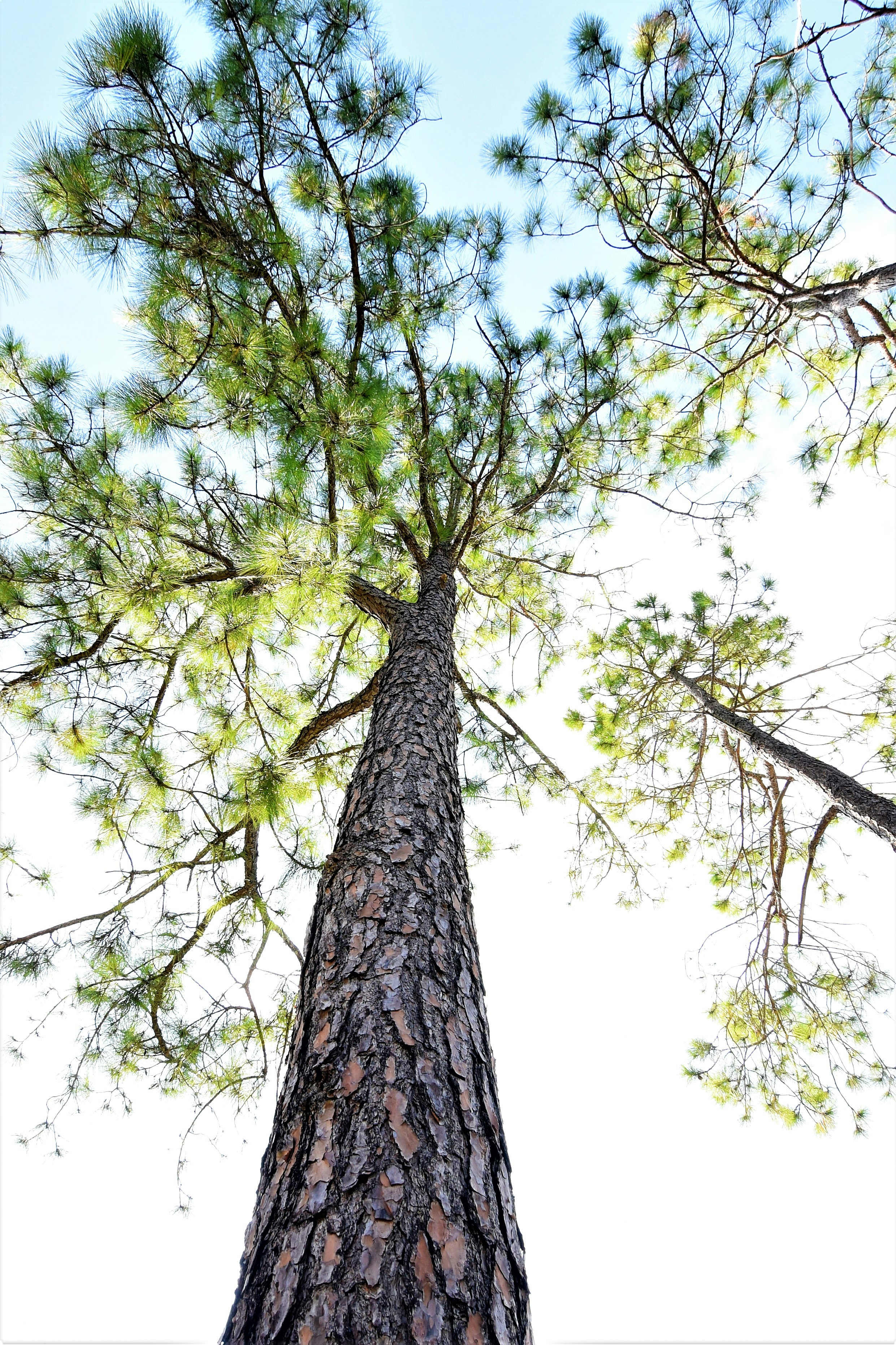 Photo by tejasexplorer