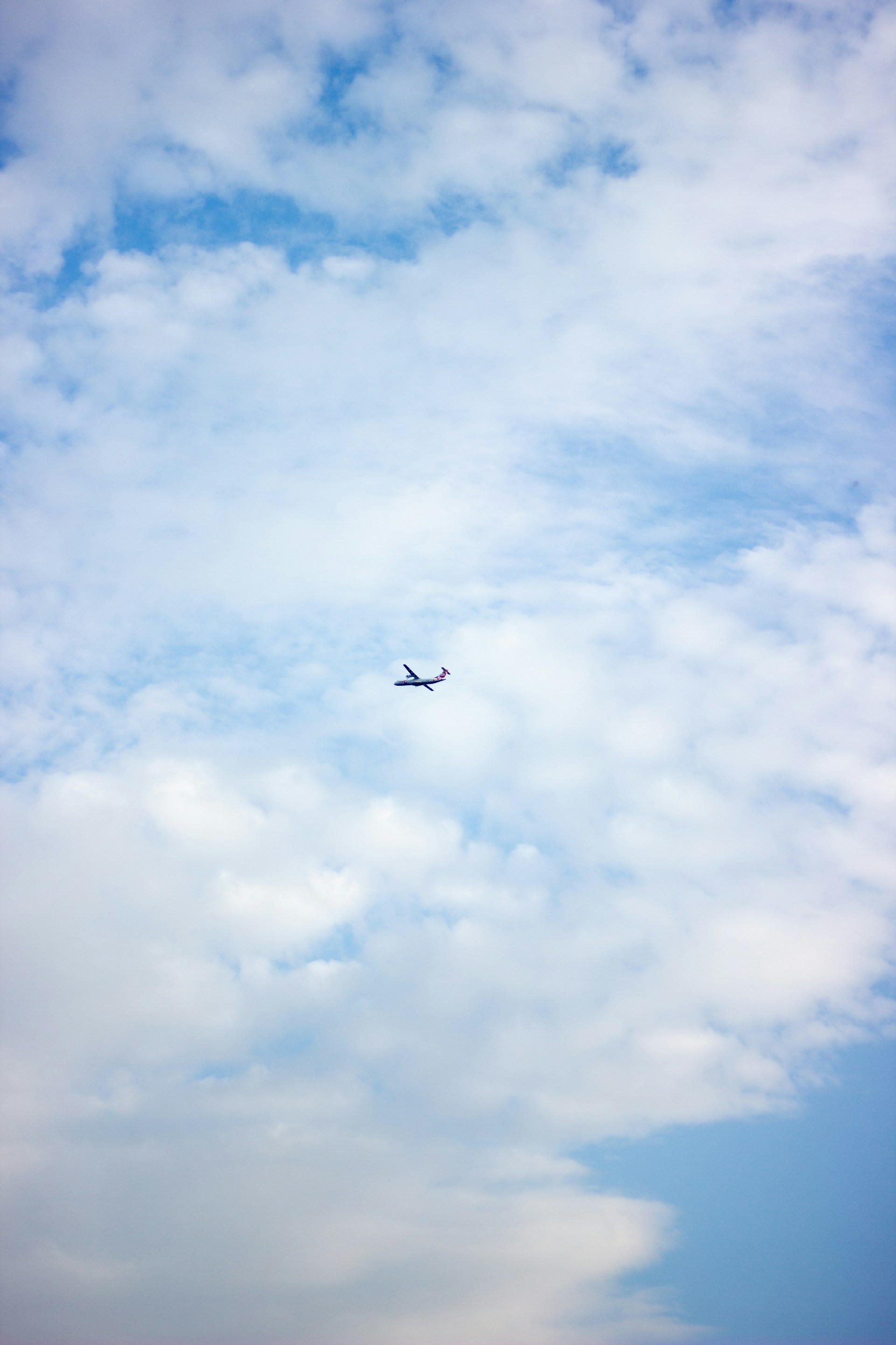 black bird flying under blue sky during daytime