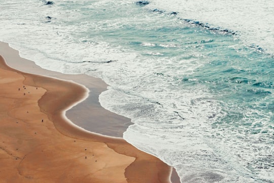 aerial view of beach during daytime in Aljezur Portugal