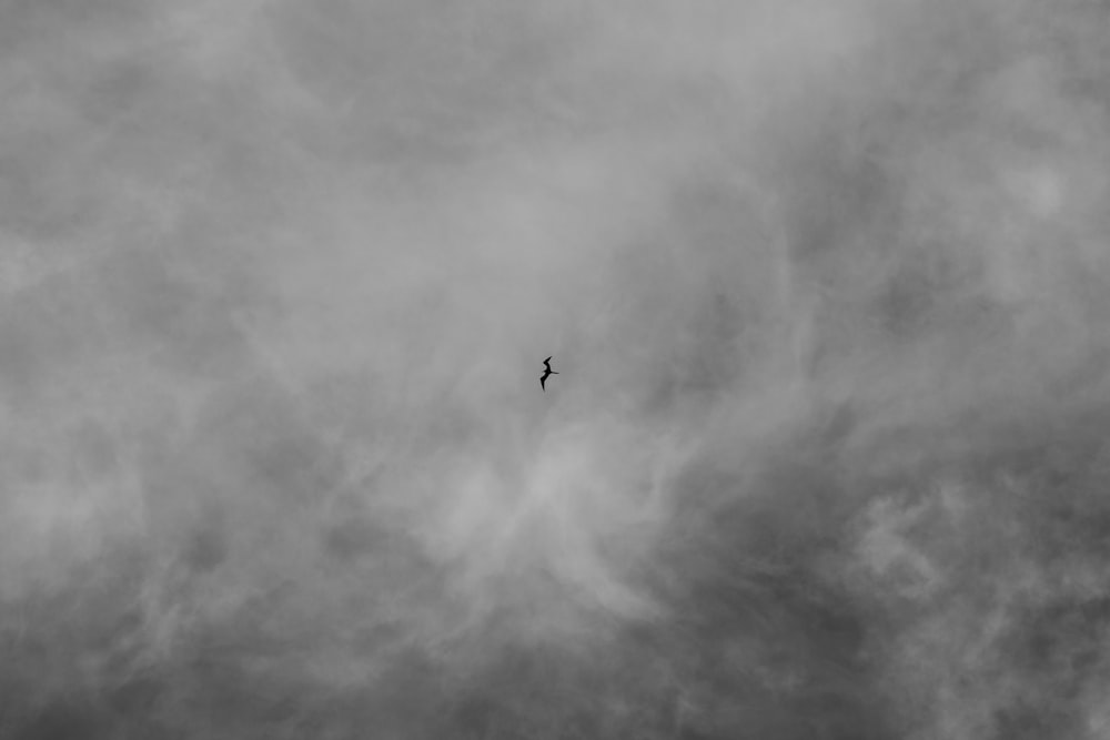 Foto en escala de grises de un avión en el cielo