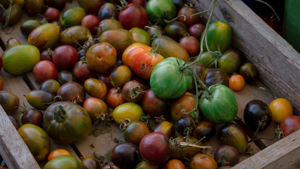 red and green tomato fruit lot