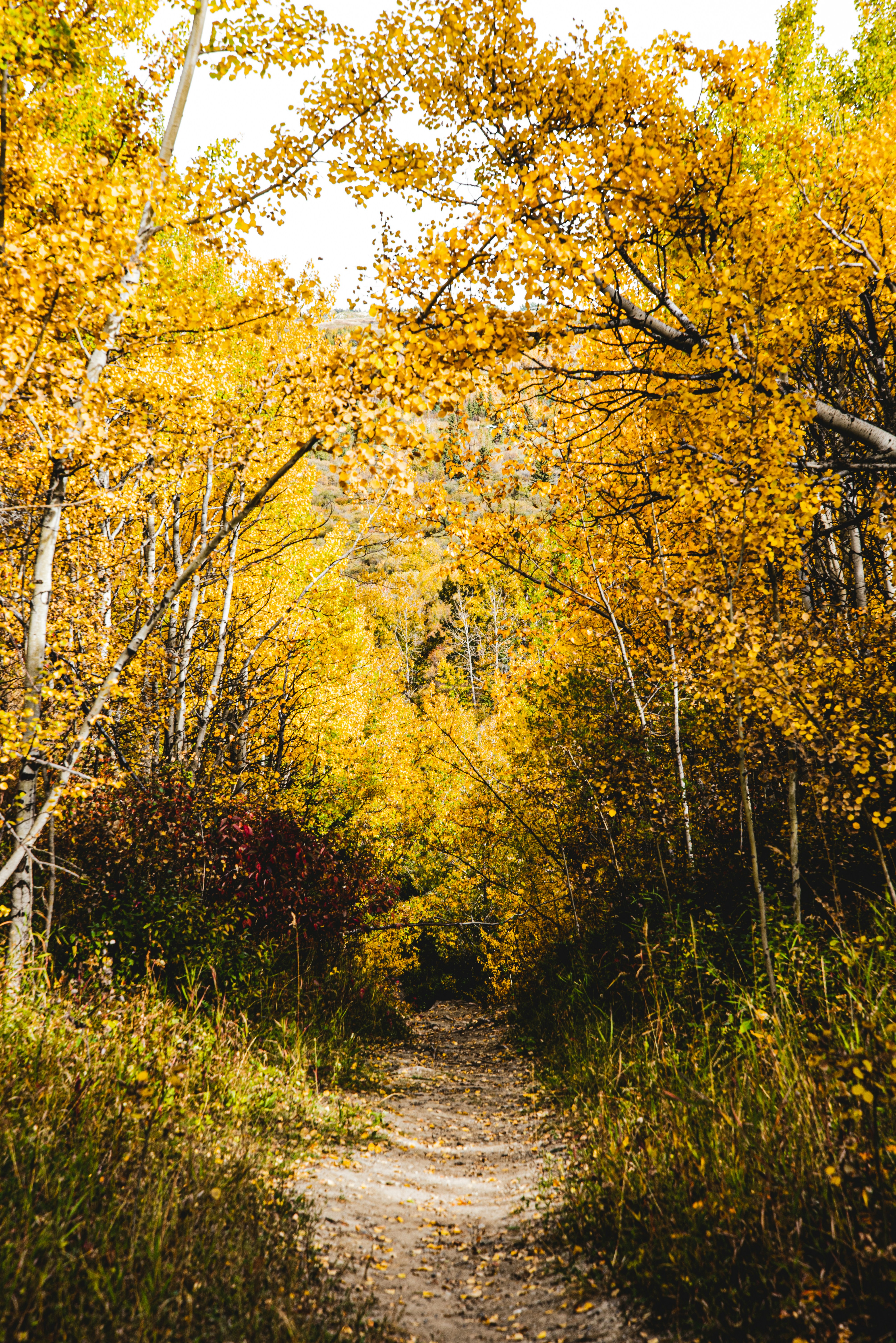 Photo by ryunosuke_kikuno