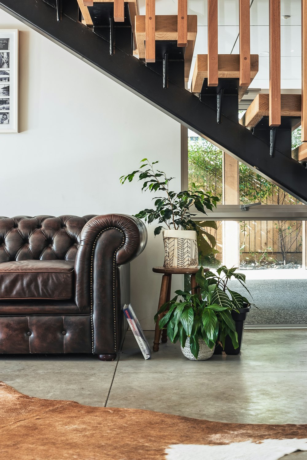 green potted plant beside brown leather couch