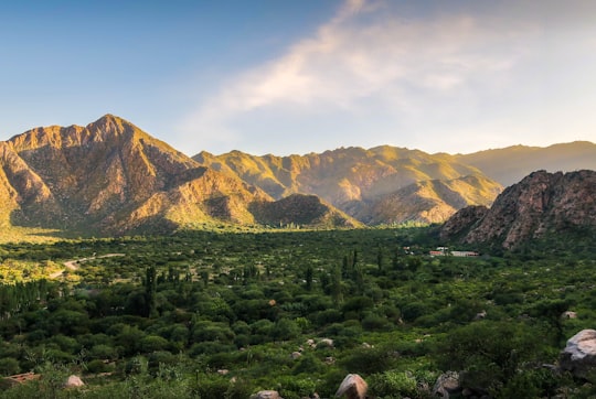 green grass field near mountain under blue sky during daytime in Cafayate Argentina