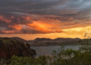 green trees near body of water during sunset