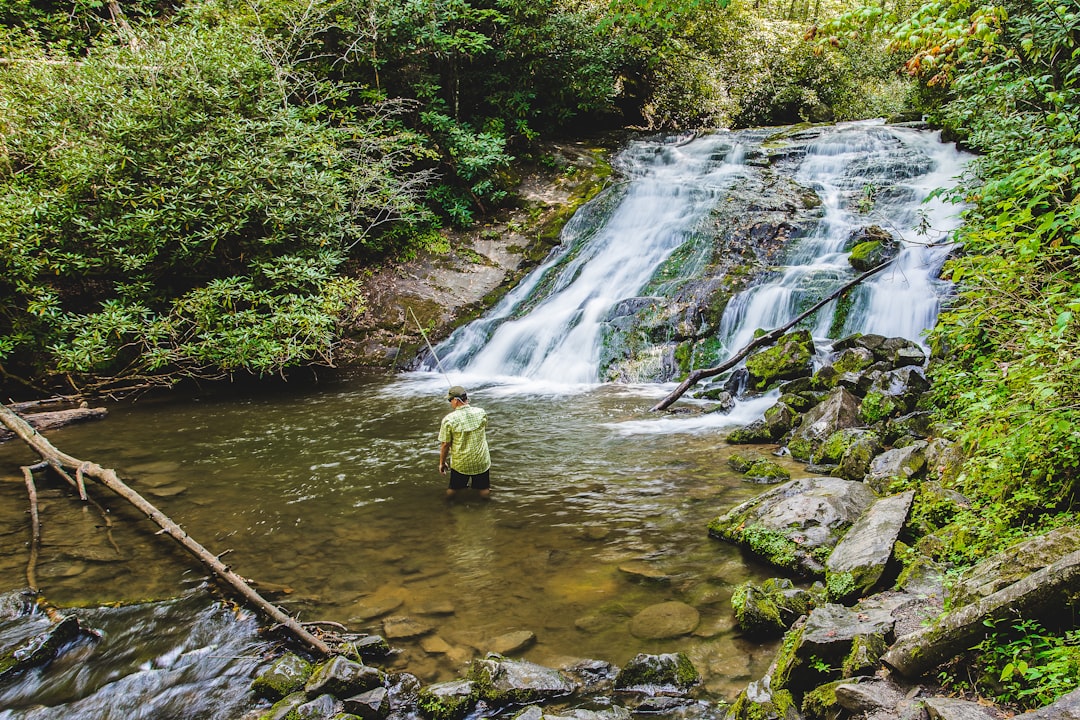 Waterfall photo spot Great Smoky Mountains National Park Gatlinburg