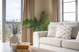 Brightly lit modern living room featuring a sleek indoor plant and cozy throw pillows.