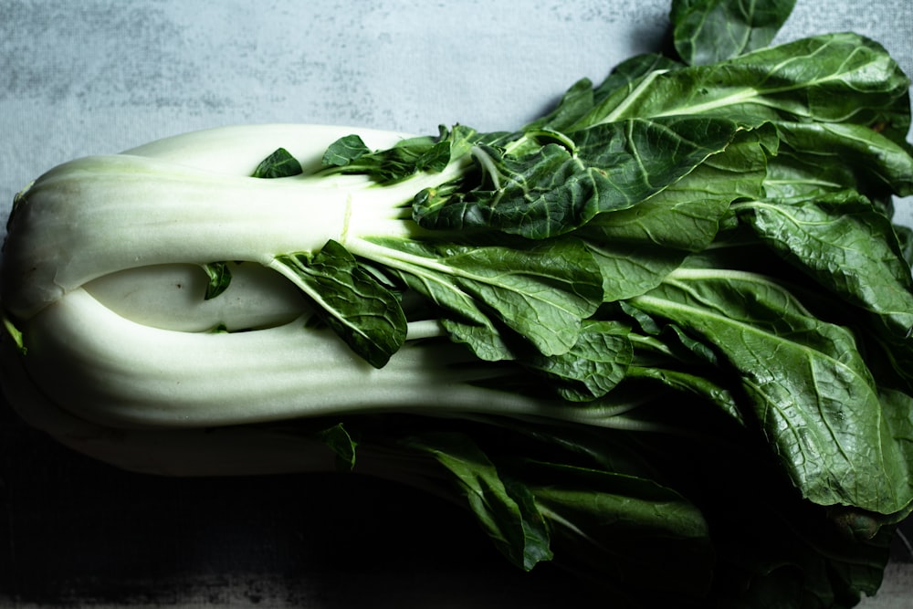 Verdura verde sobre plato de cerámica blanca