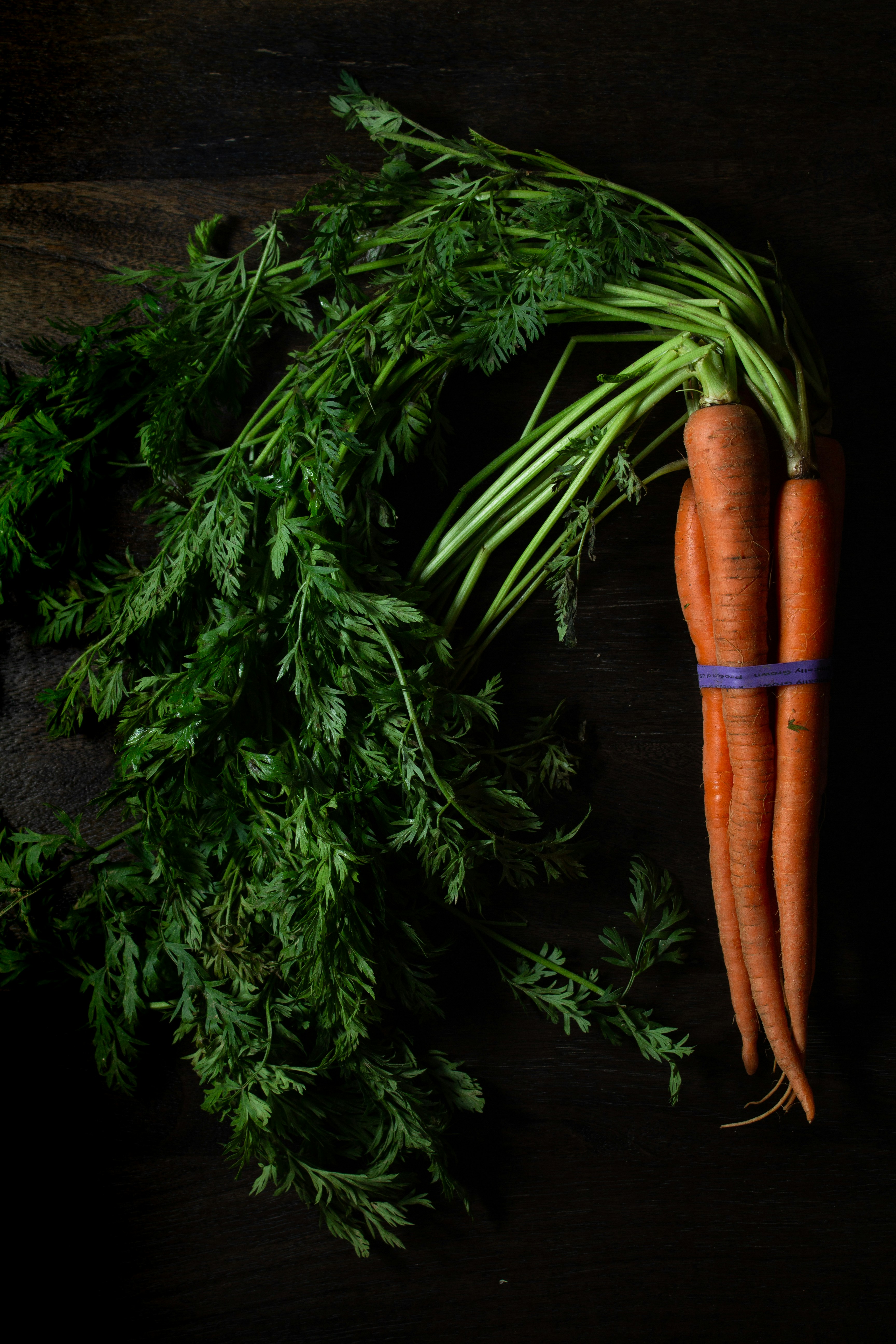 How miR-137 Could Change MS Treatment Approaches