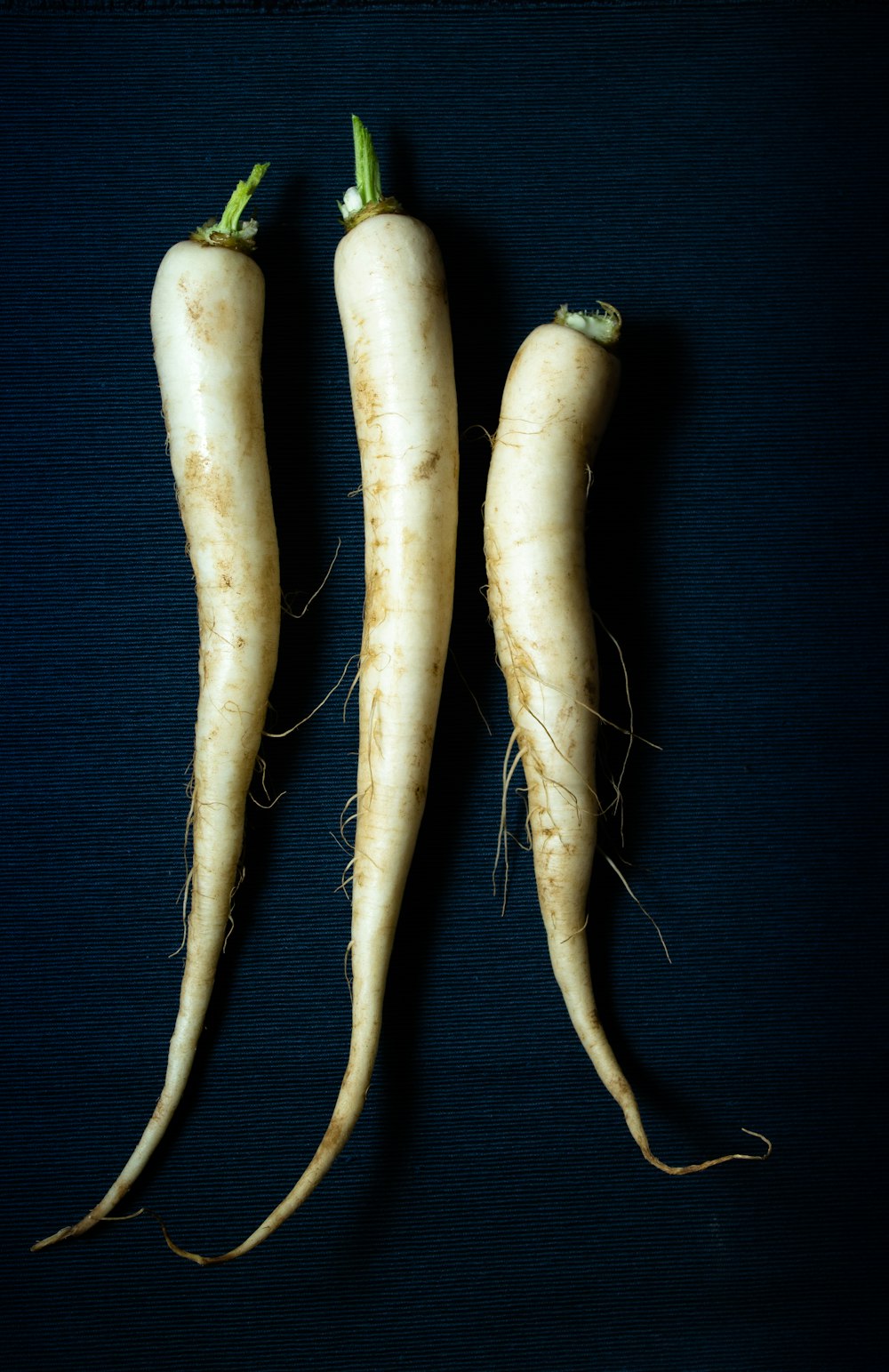 three brown carrots on blue textile