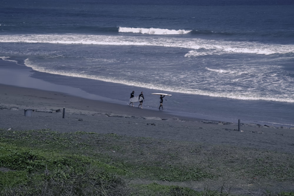 people walking on beach during daytime