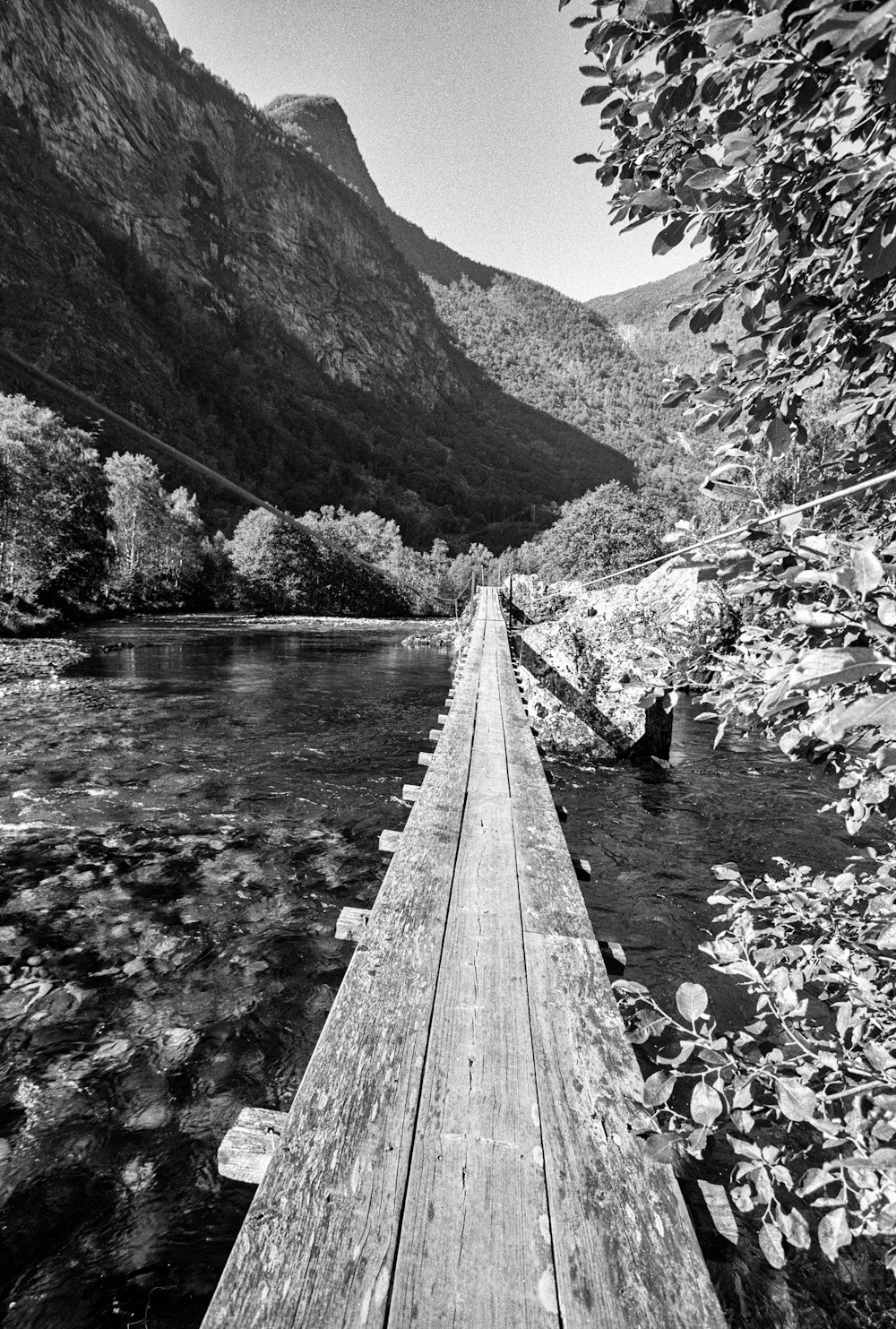 grayscale photo of wooden bridge over river