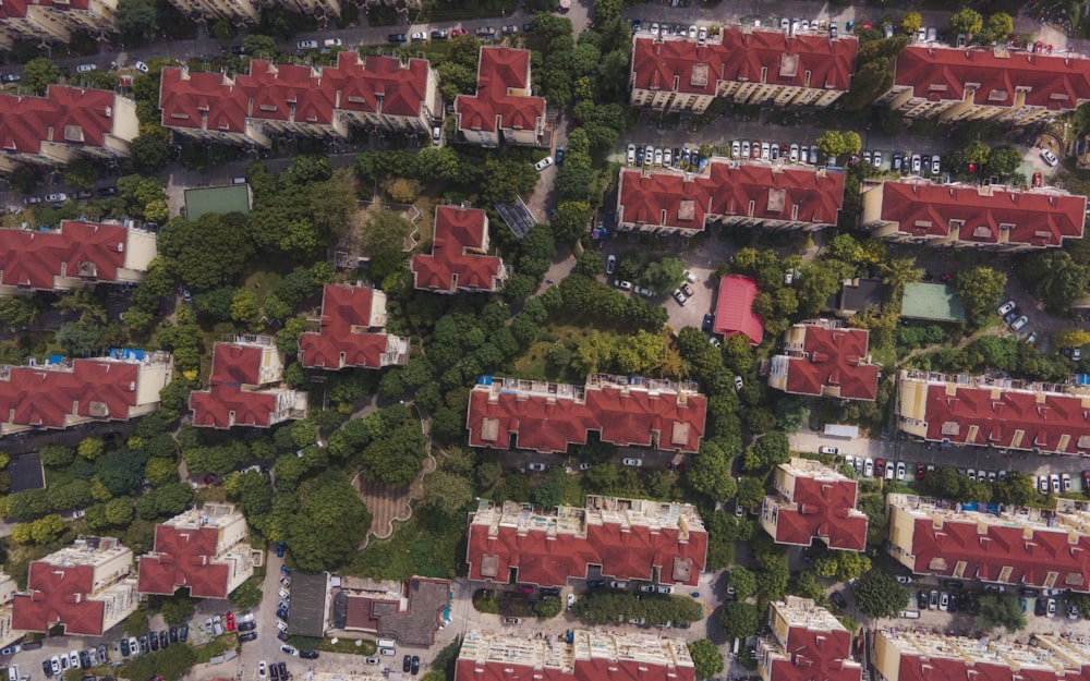 aerial view of houses and trees
