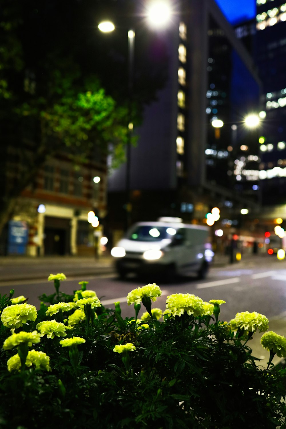 white suv on road during night time