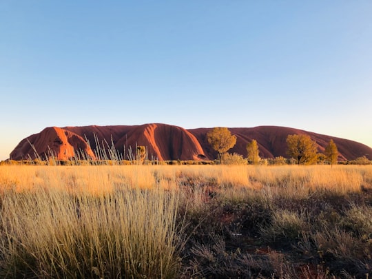 brown grass field near brown mountain during daytime in Uluru-Kata Tjuta National Park Australia