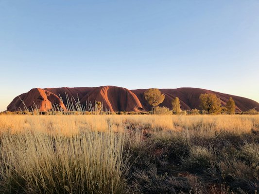 Brown grass field near brown mountain during daytime — Uluru, Australia
