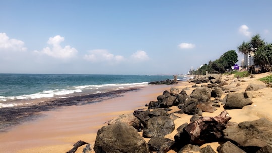 brown rocks near body of water during daytime in Colombo Sri Lanka