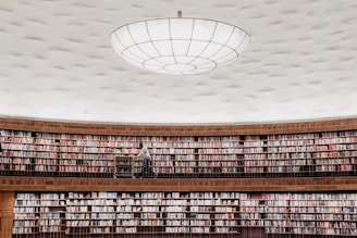 brown wooden shelves with books