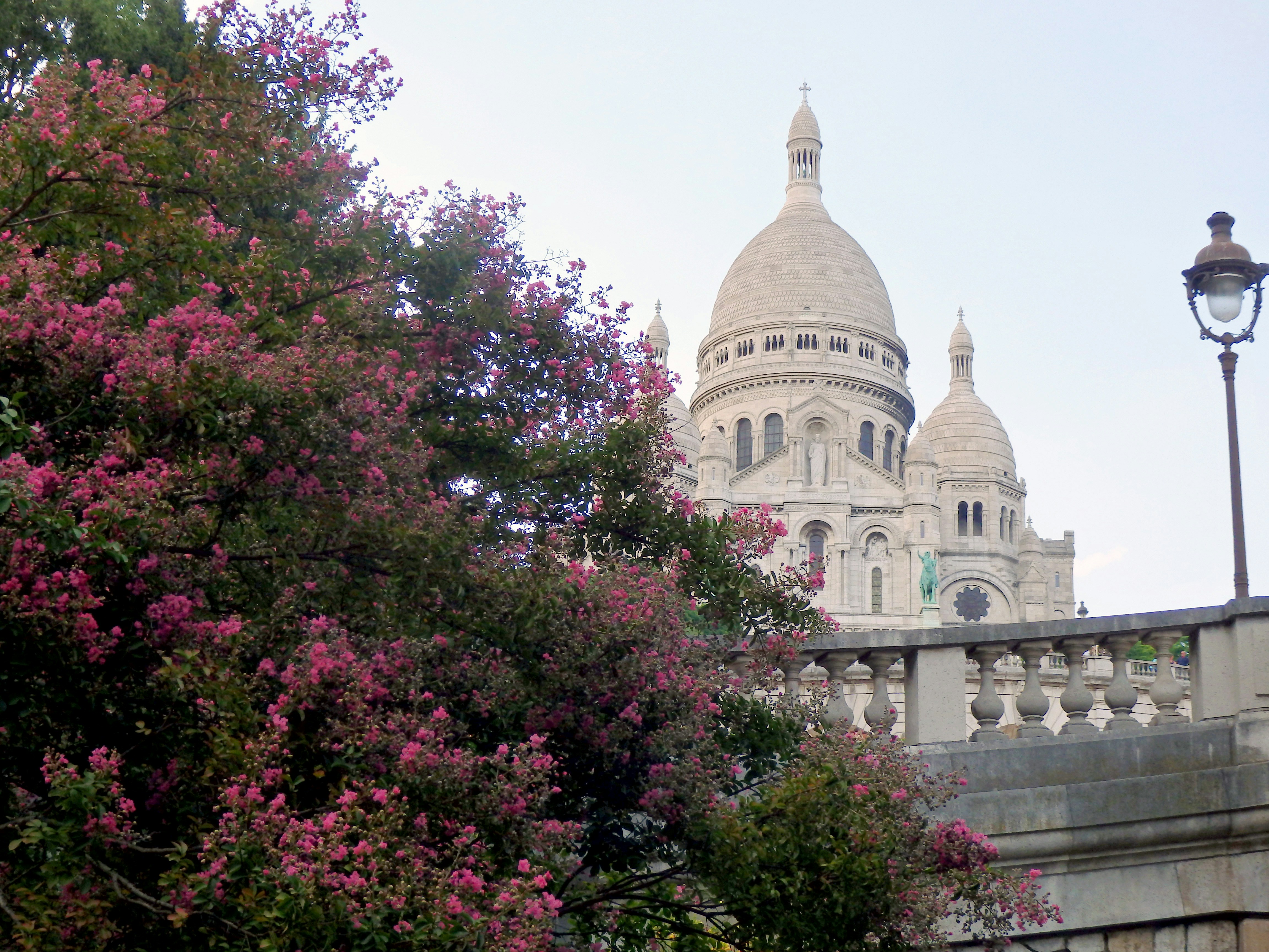white concrete building near green trees during daytime, Sacre Coeur
