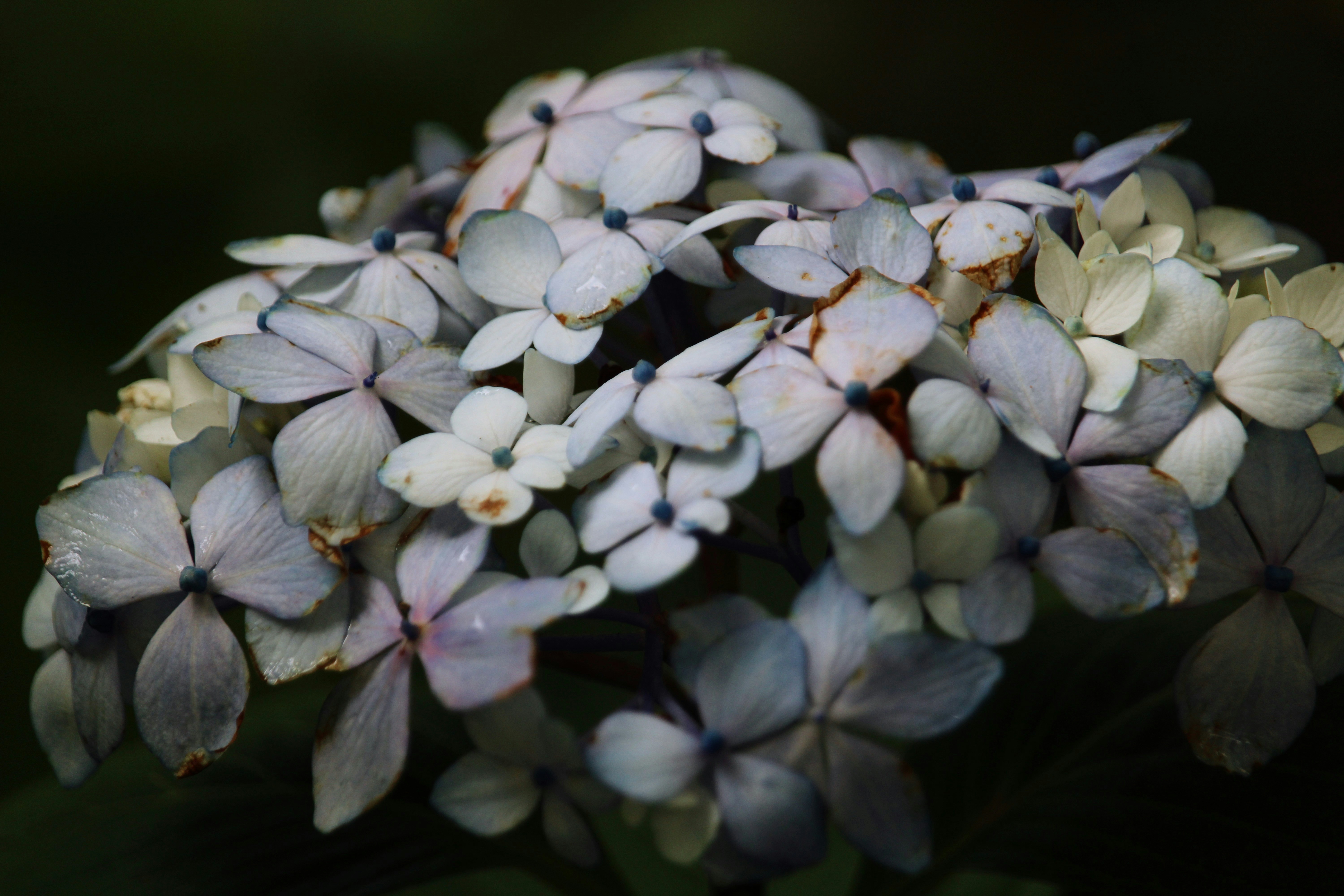 Photo by every_small_step_