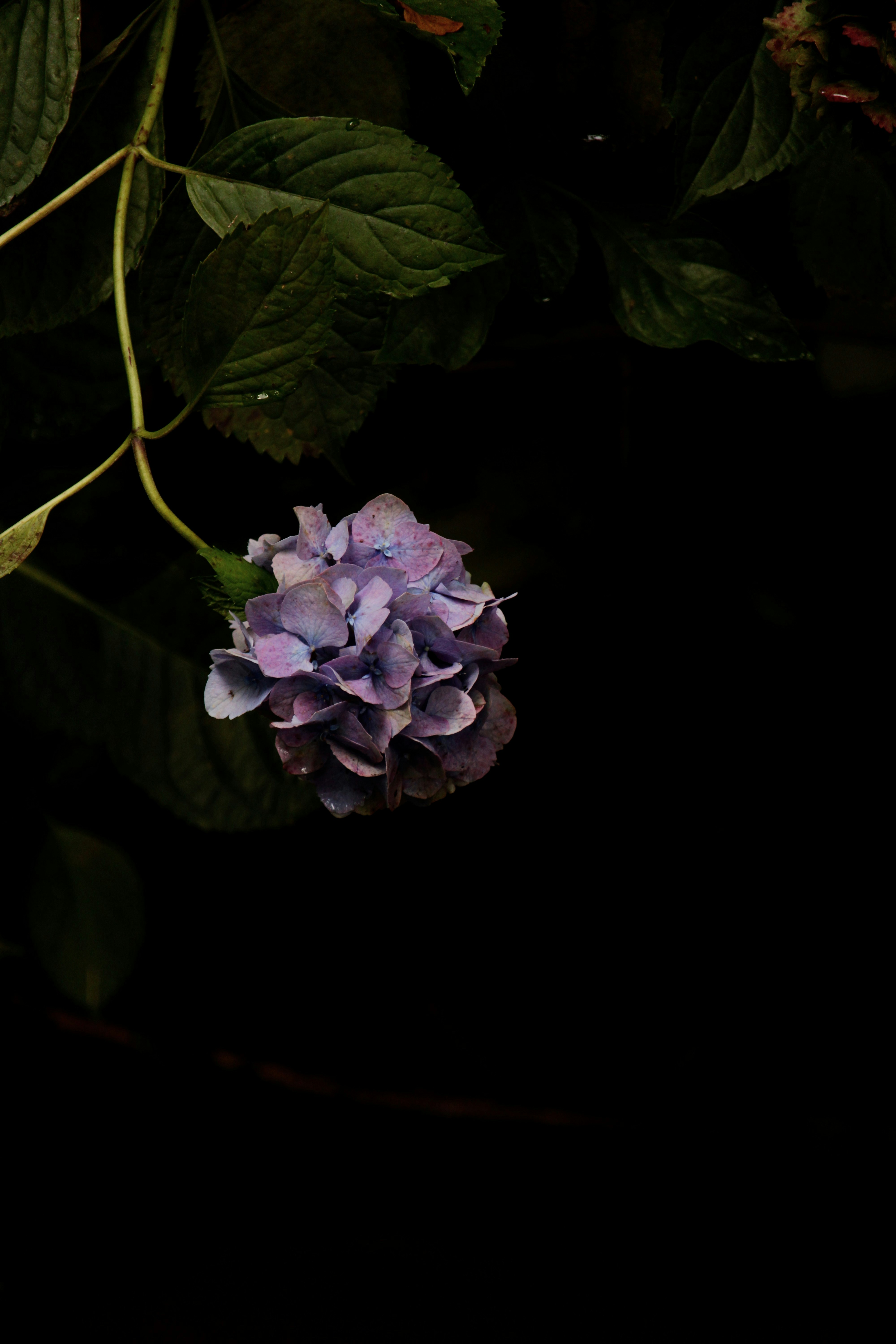 Photo by every_small_step_