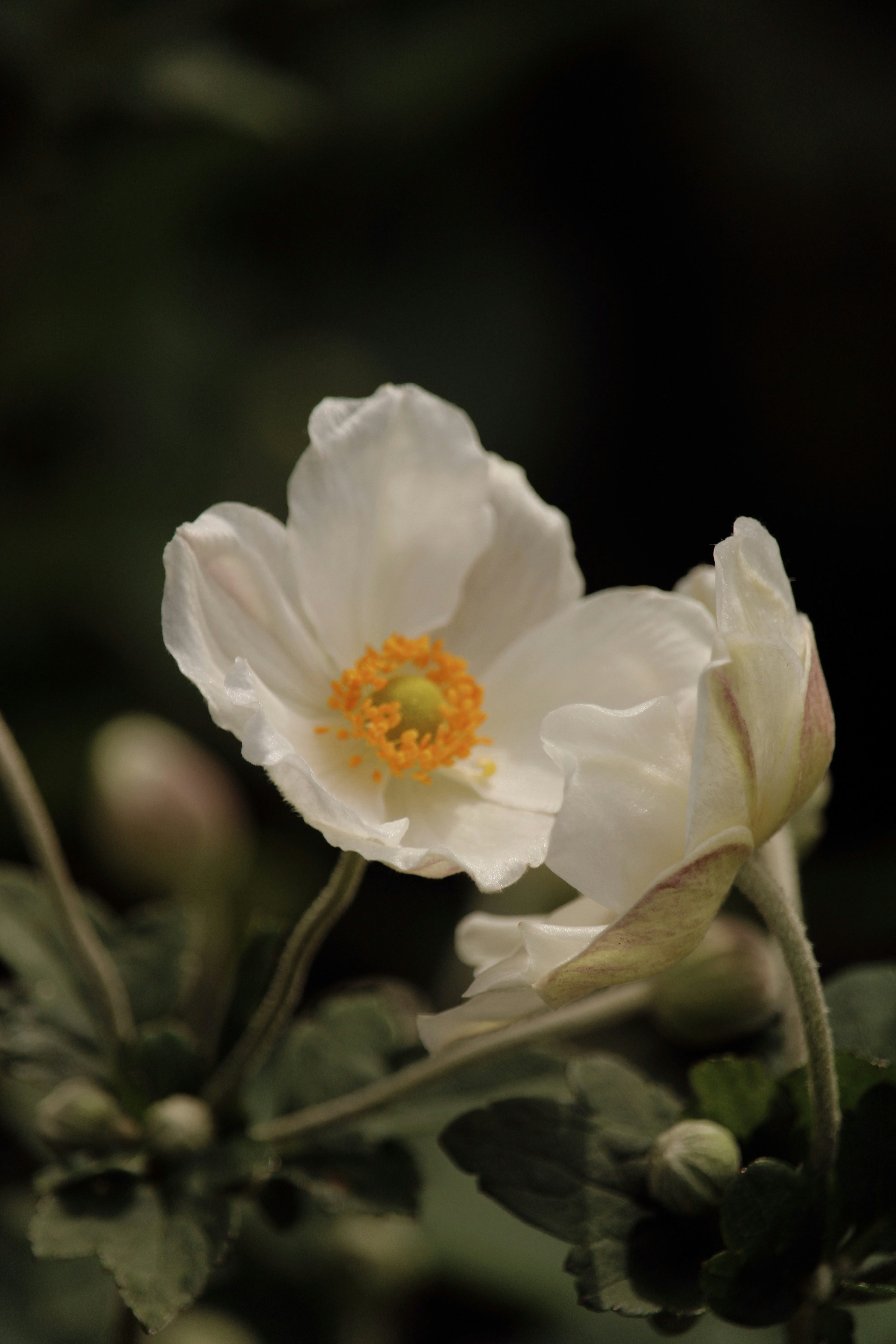 Photo by every_small_step_