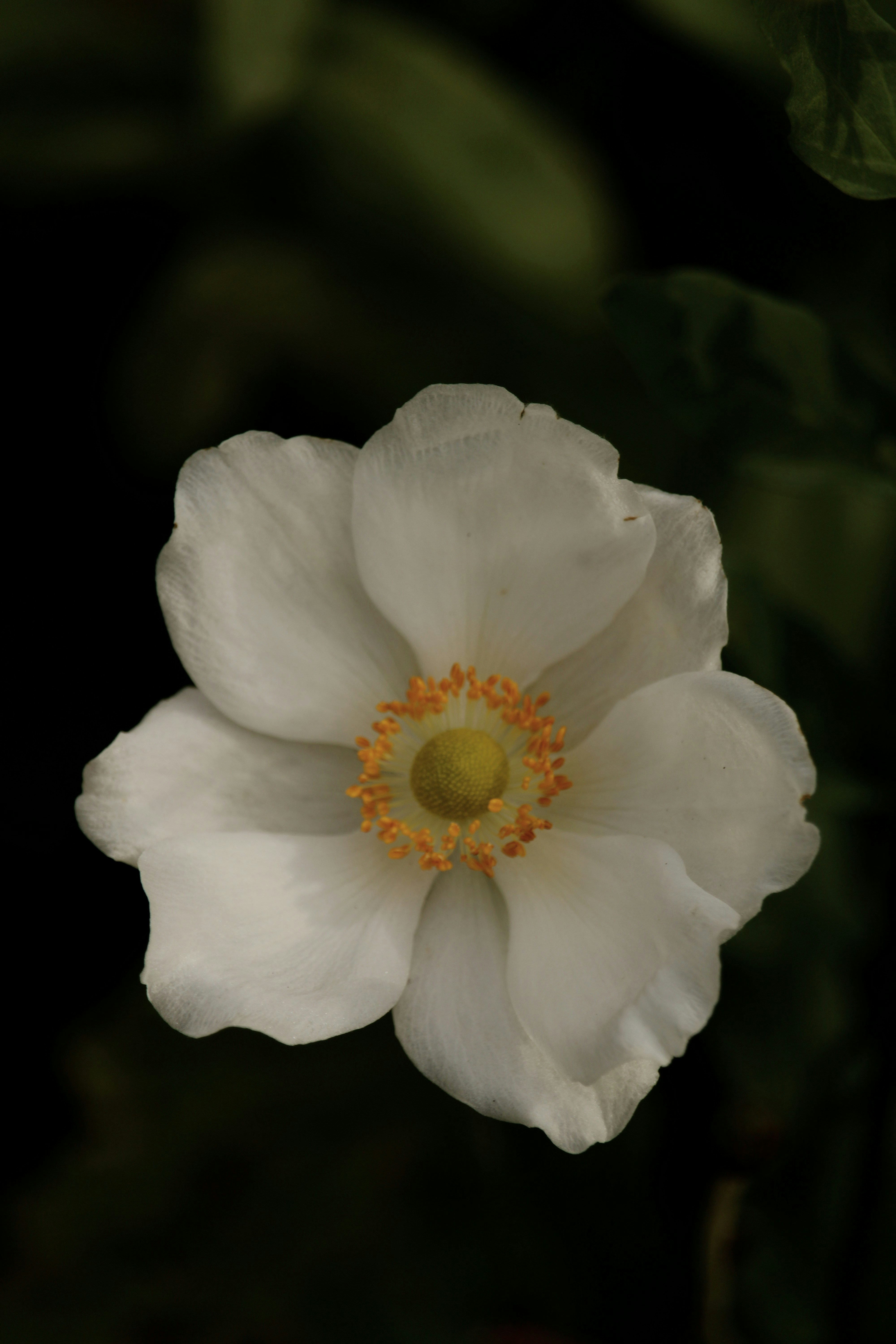 Photo by every_small_step_