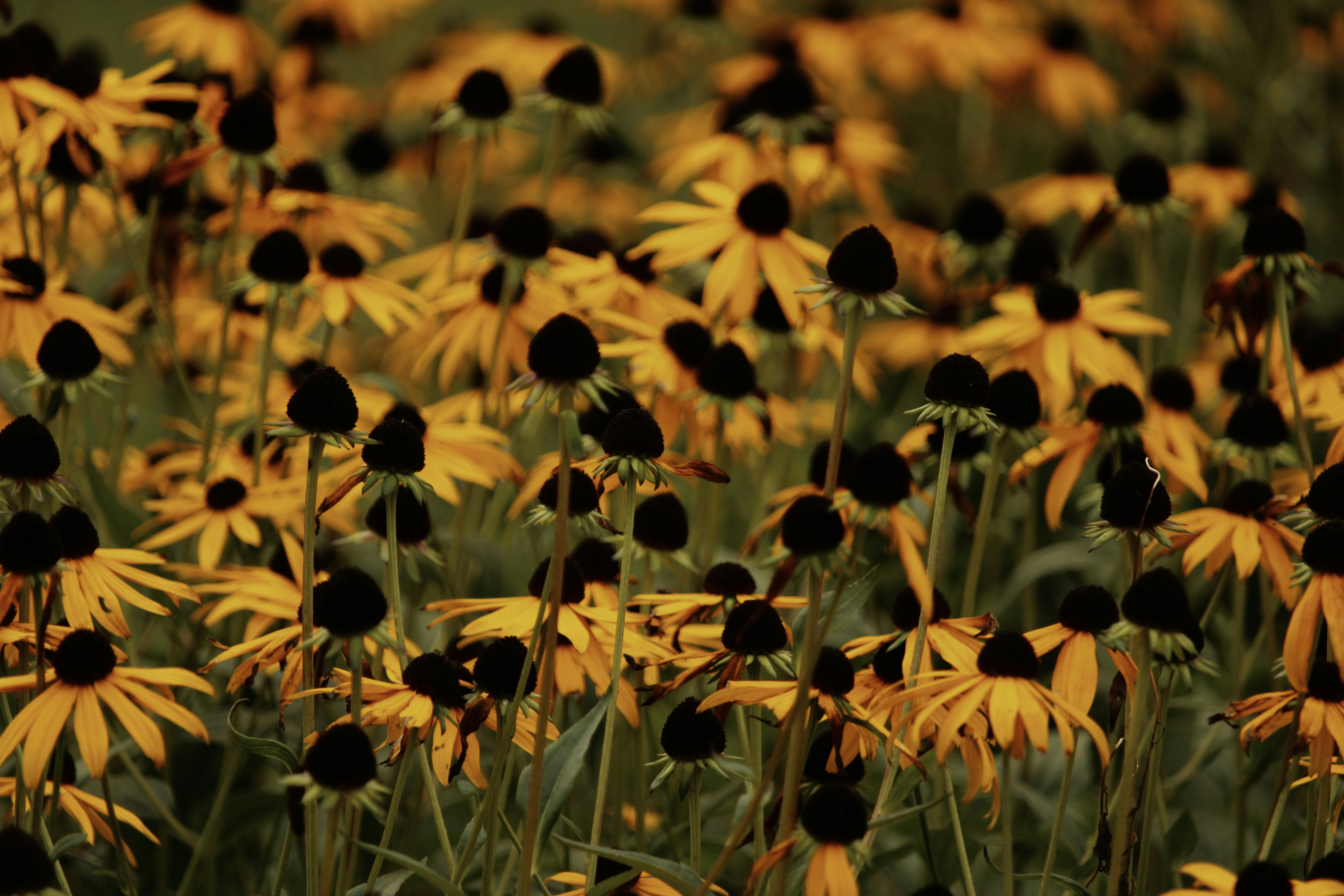 Photo by every_small_step_