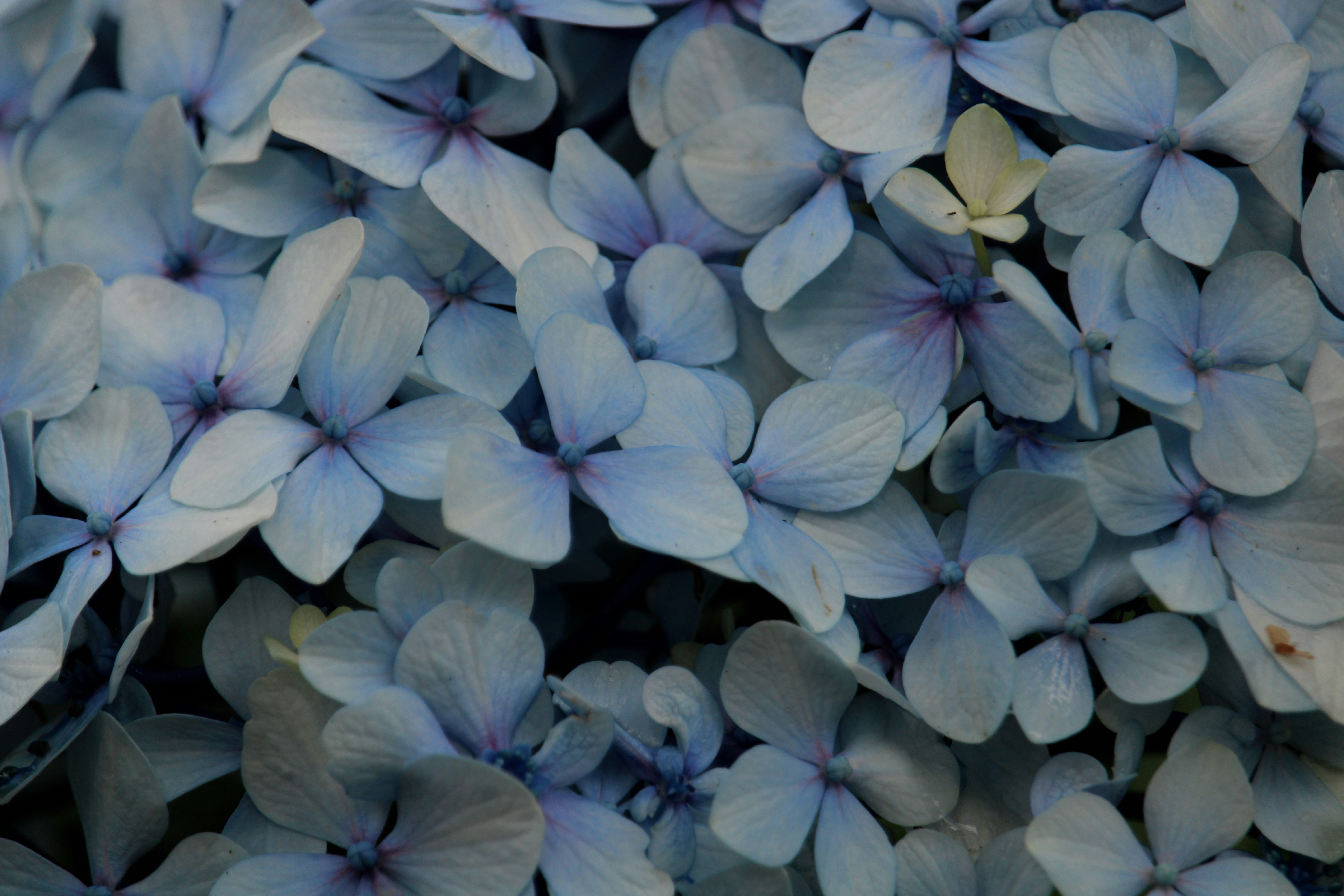 Photo by every_small_step_