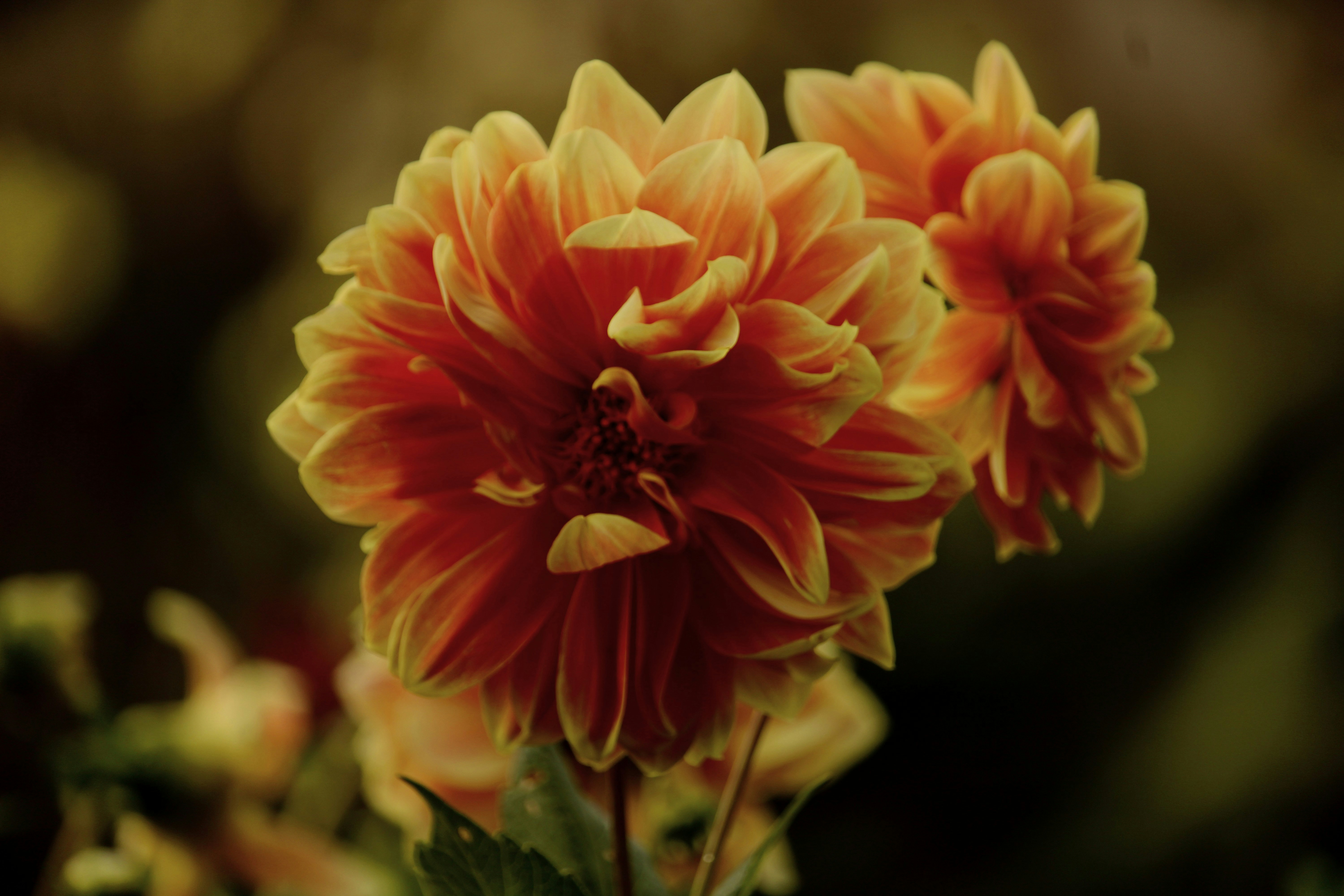 Photo by every_small_step_