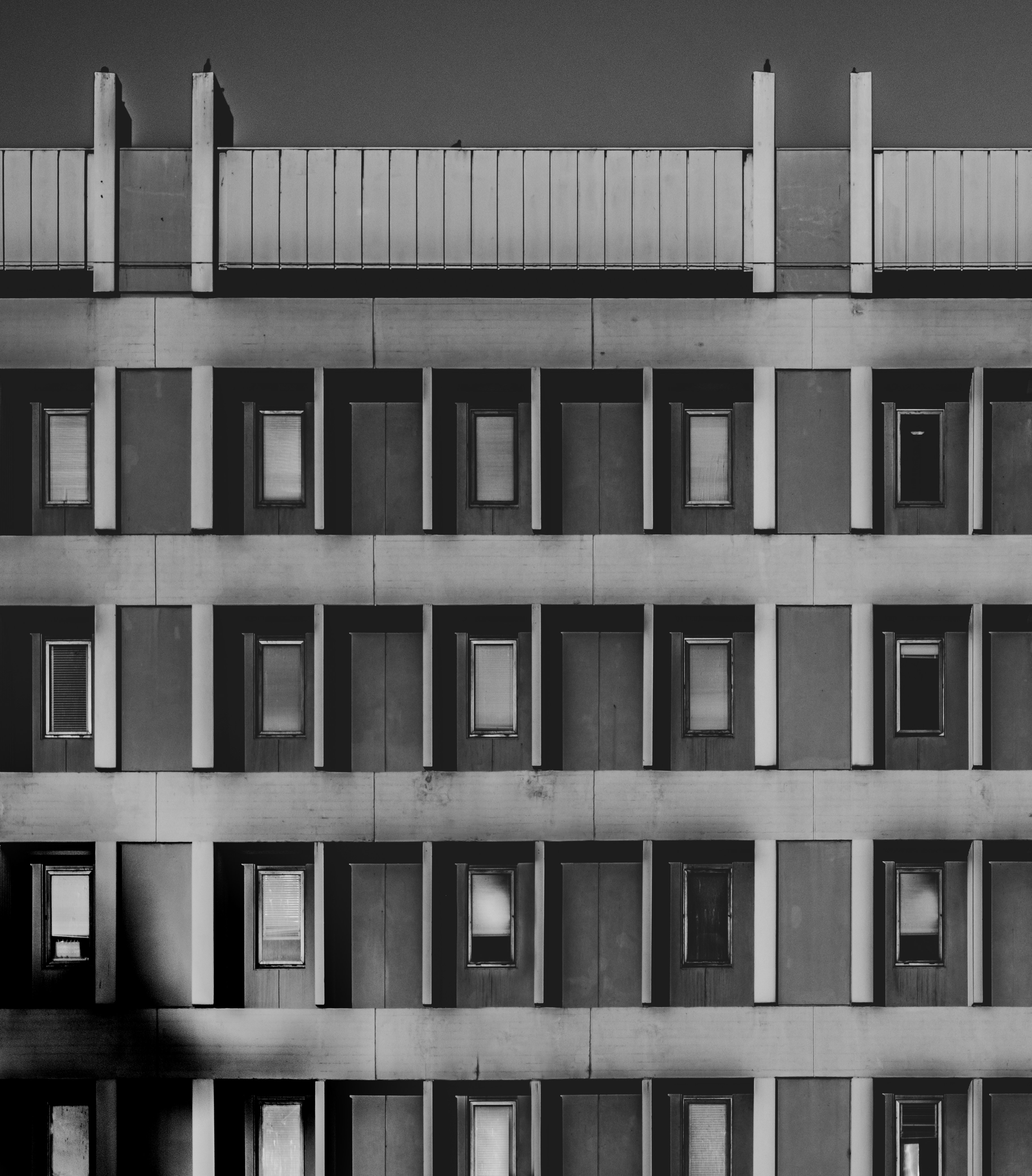 Photo by parsoakhorsand