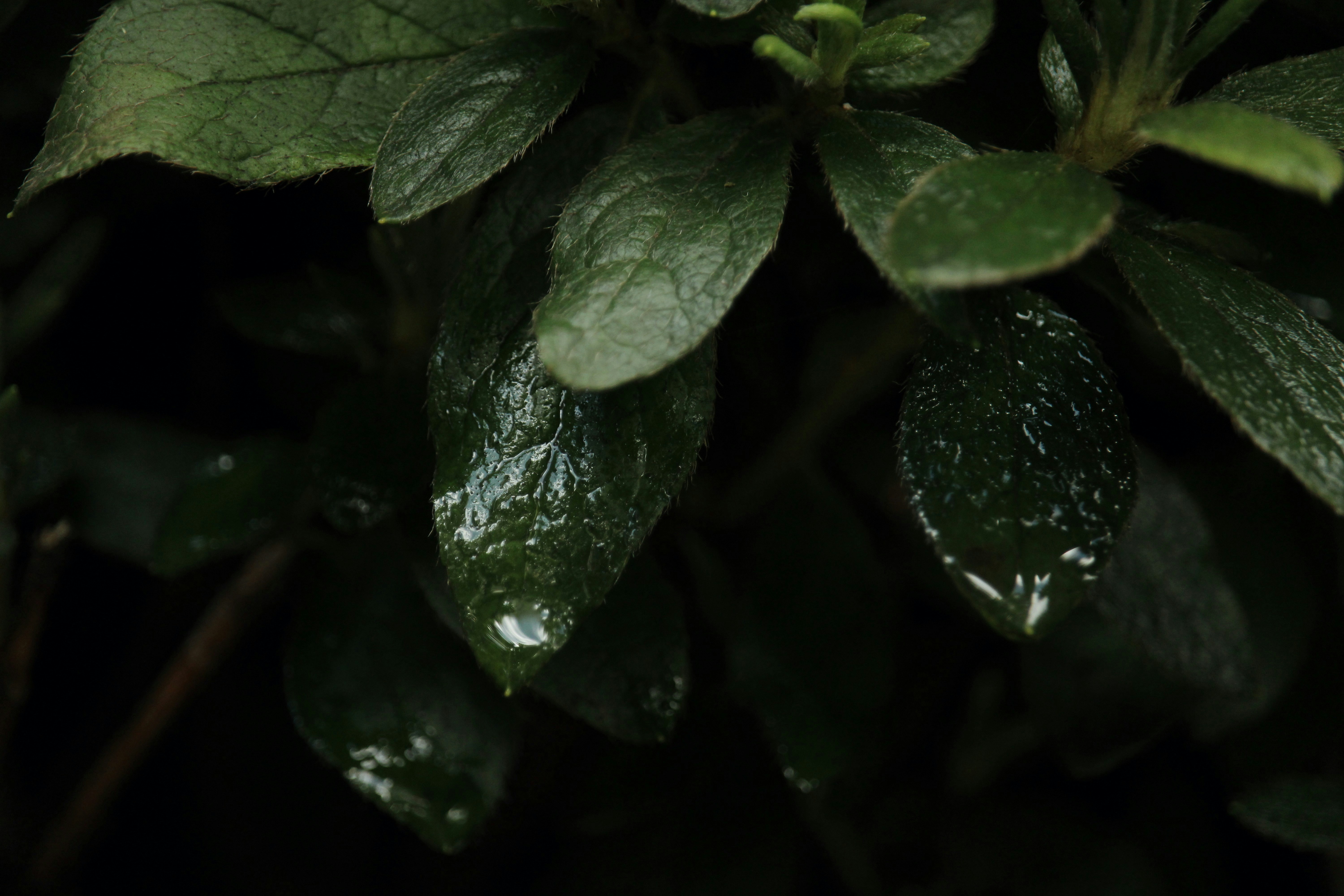 Photo by every_small_step_