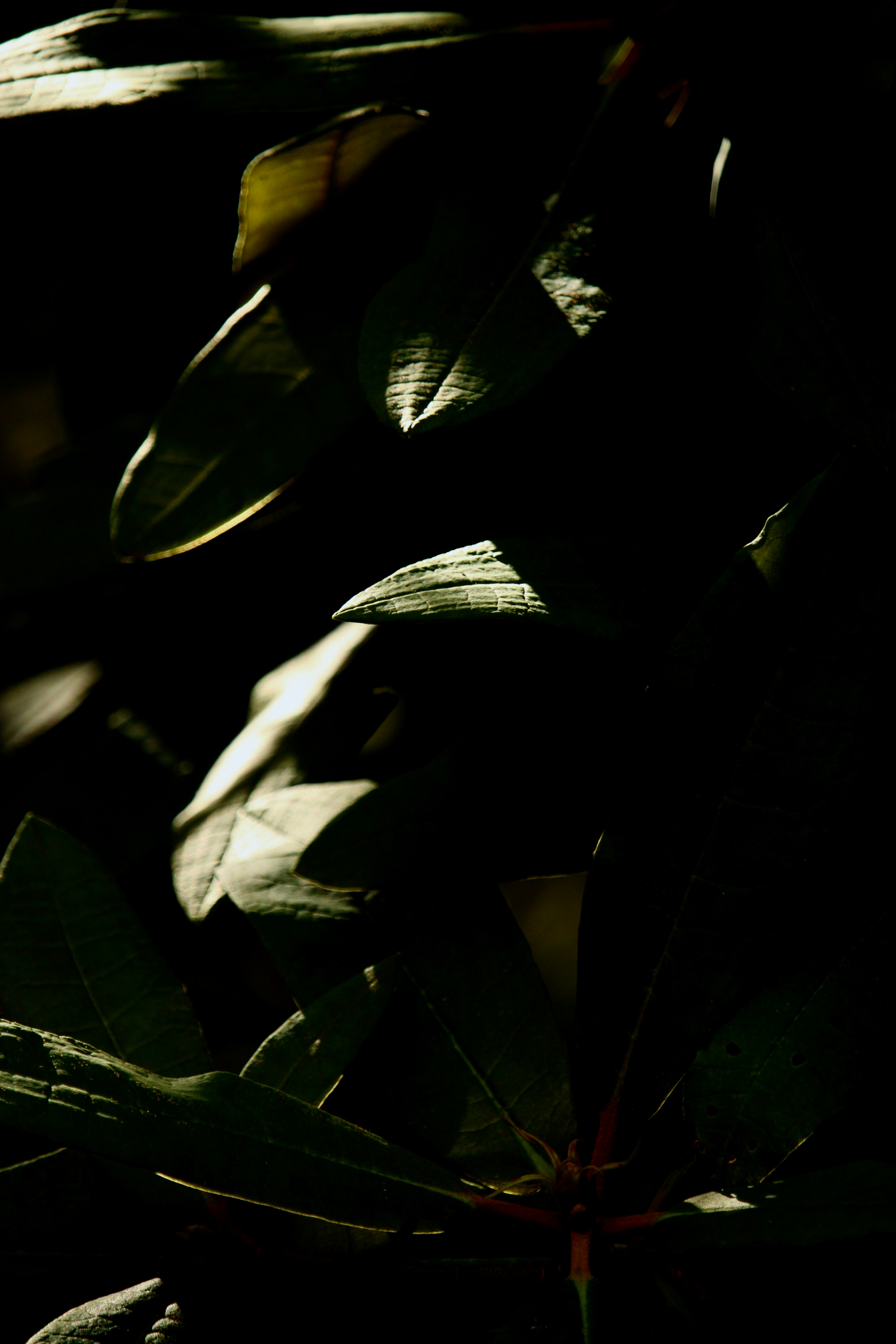 Photo by every_small_step_