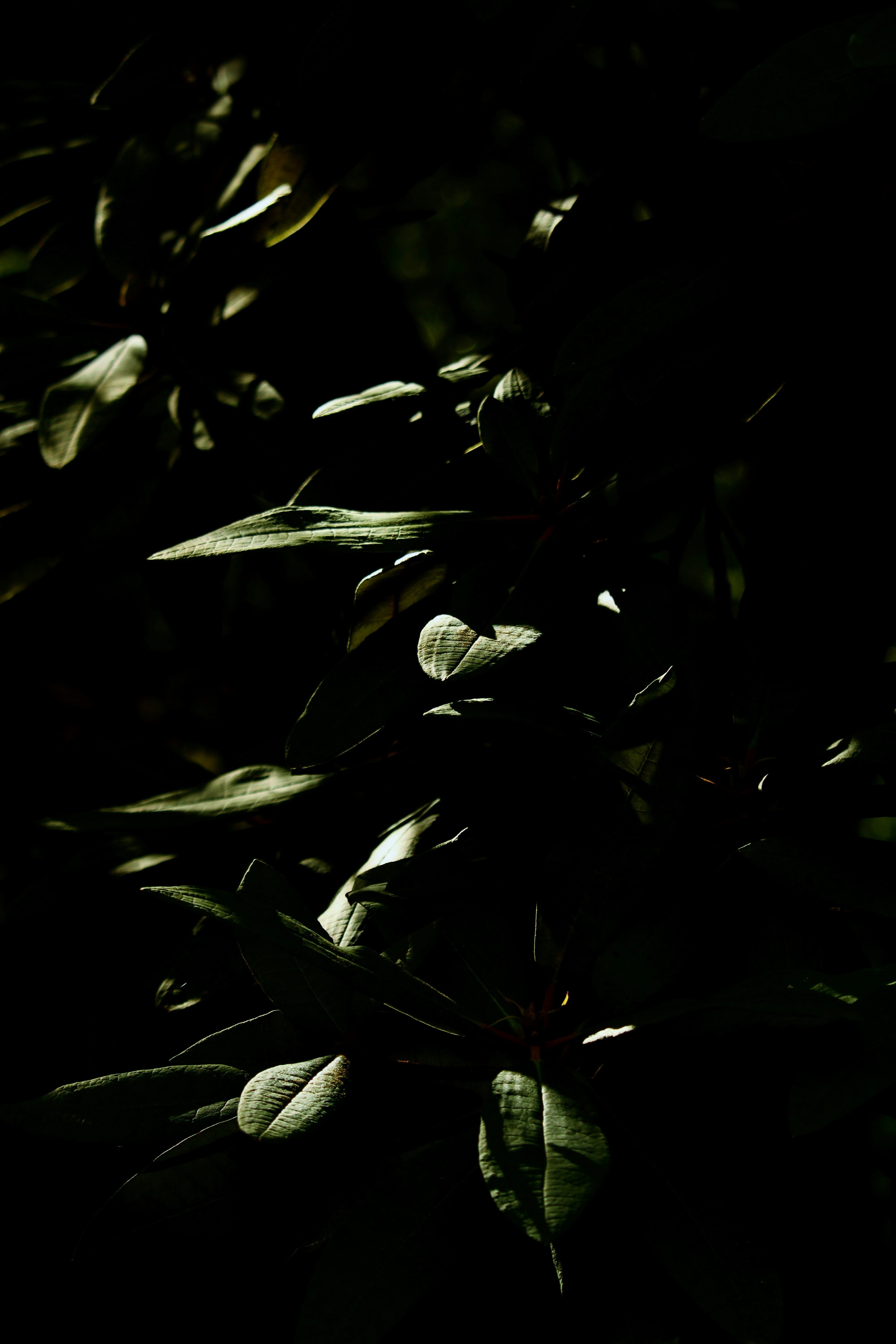 Photo by every_small_step_