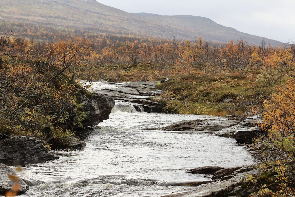 En elv i Finnmark på høsten