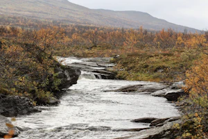 En elv i Finnmark på høsten